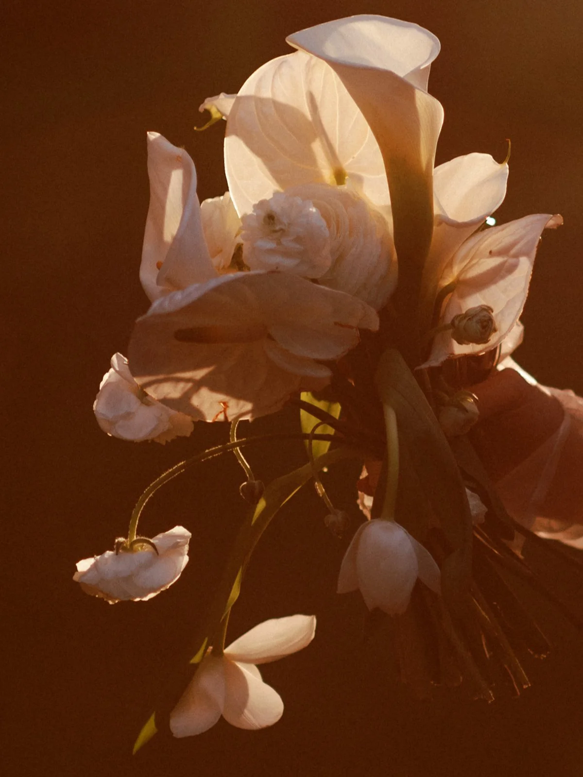 A bouquet of white calla lilies and other flowers with a warm-toned background.