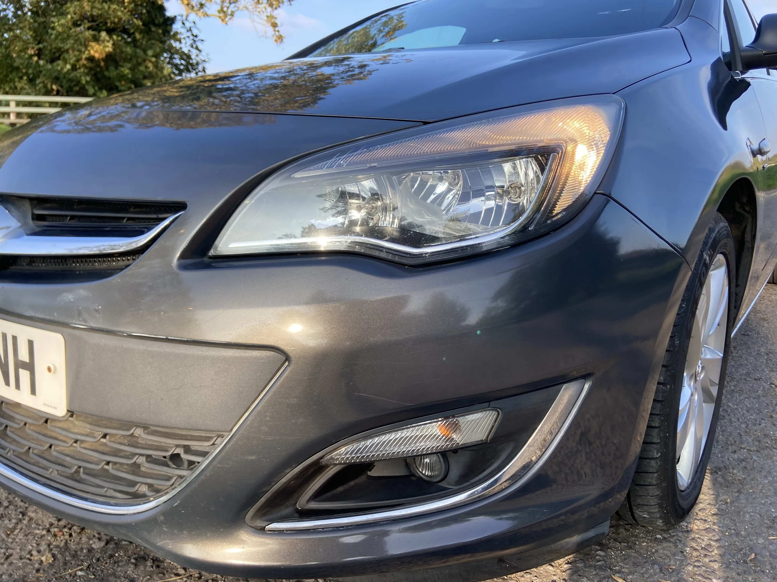 IMG_3558 20.04.35.jpg