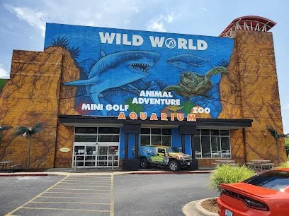 Branson 's Wild World