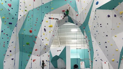 Zenith Climbing Center