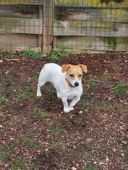 North Acres Boarding Kennel