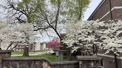 Mission University