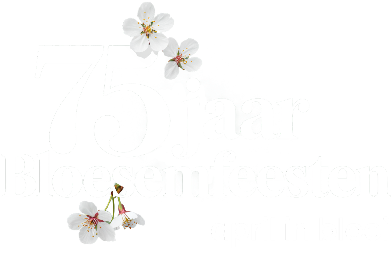 Bloesemfeesten