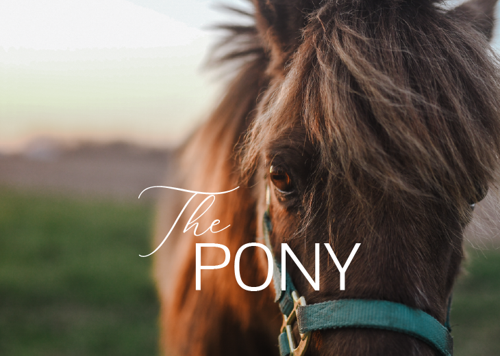 the-pony-01.png