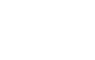 the-pony.png