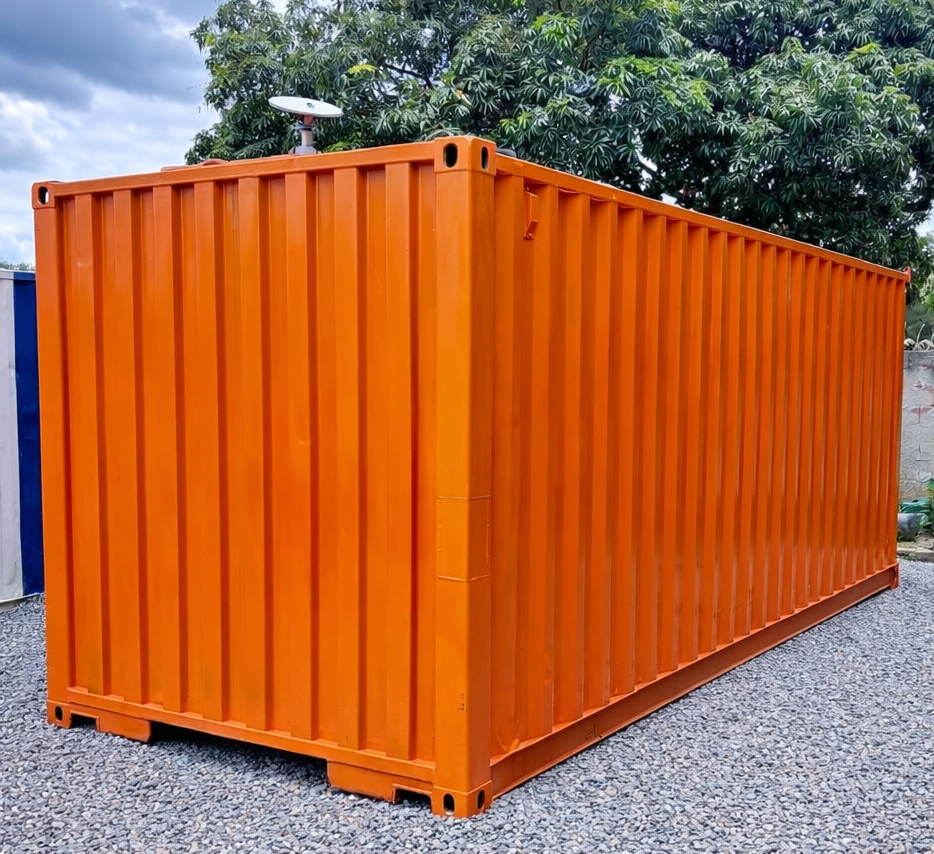 externo posterior.png