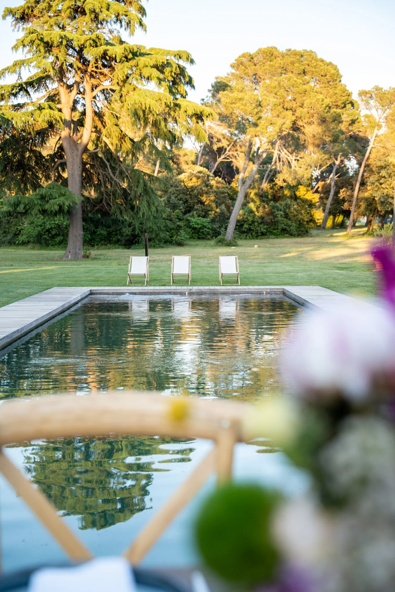 Vue d'une piscine entourée d'un pont en bois, avec trois chaises longues blanches, des grands arbres verts au fond, le ciel bleu, reflétés dans l'eau de la piscine.