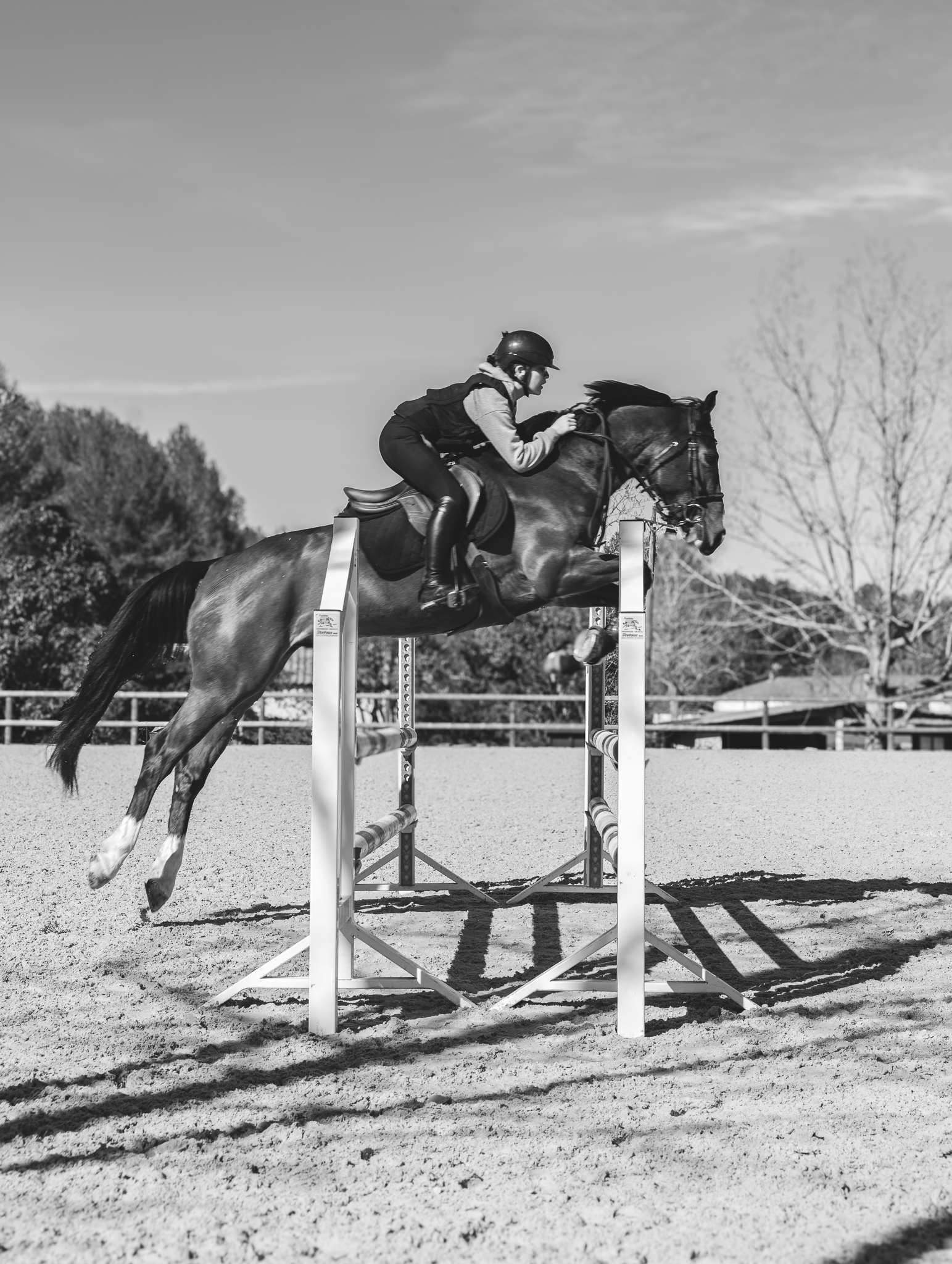 Une cavalière en train de sauter un obstacle lors d'une compétition équestre en plein air.