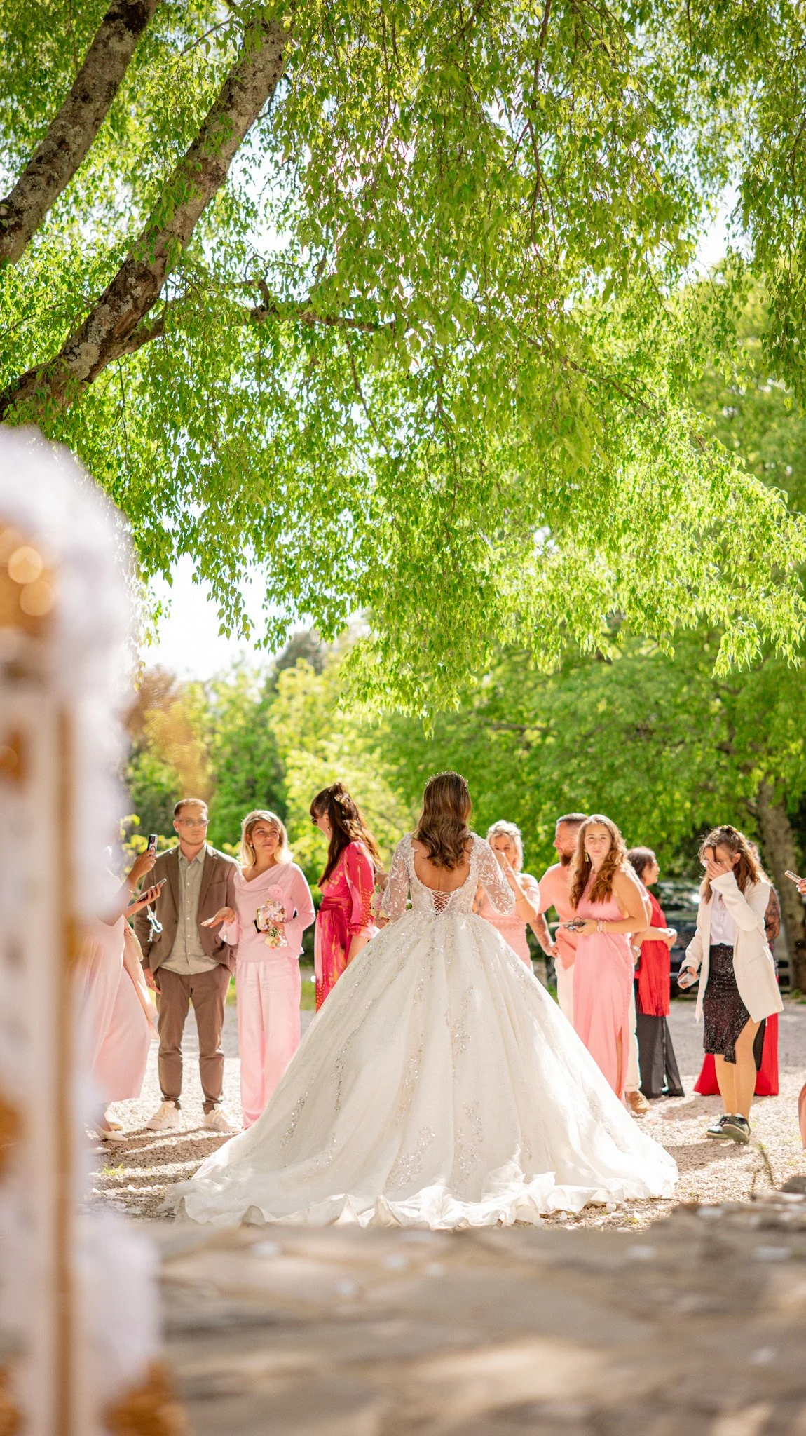 Un groupe de personnes à un mariage en plein air, avec la mariée portant une robe de bal blanche au centre, entourée de invités élégants, sous un arbre feuillu.