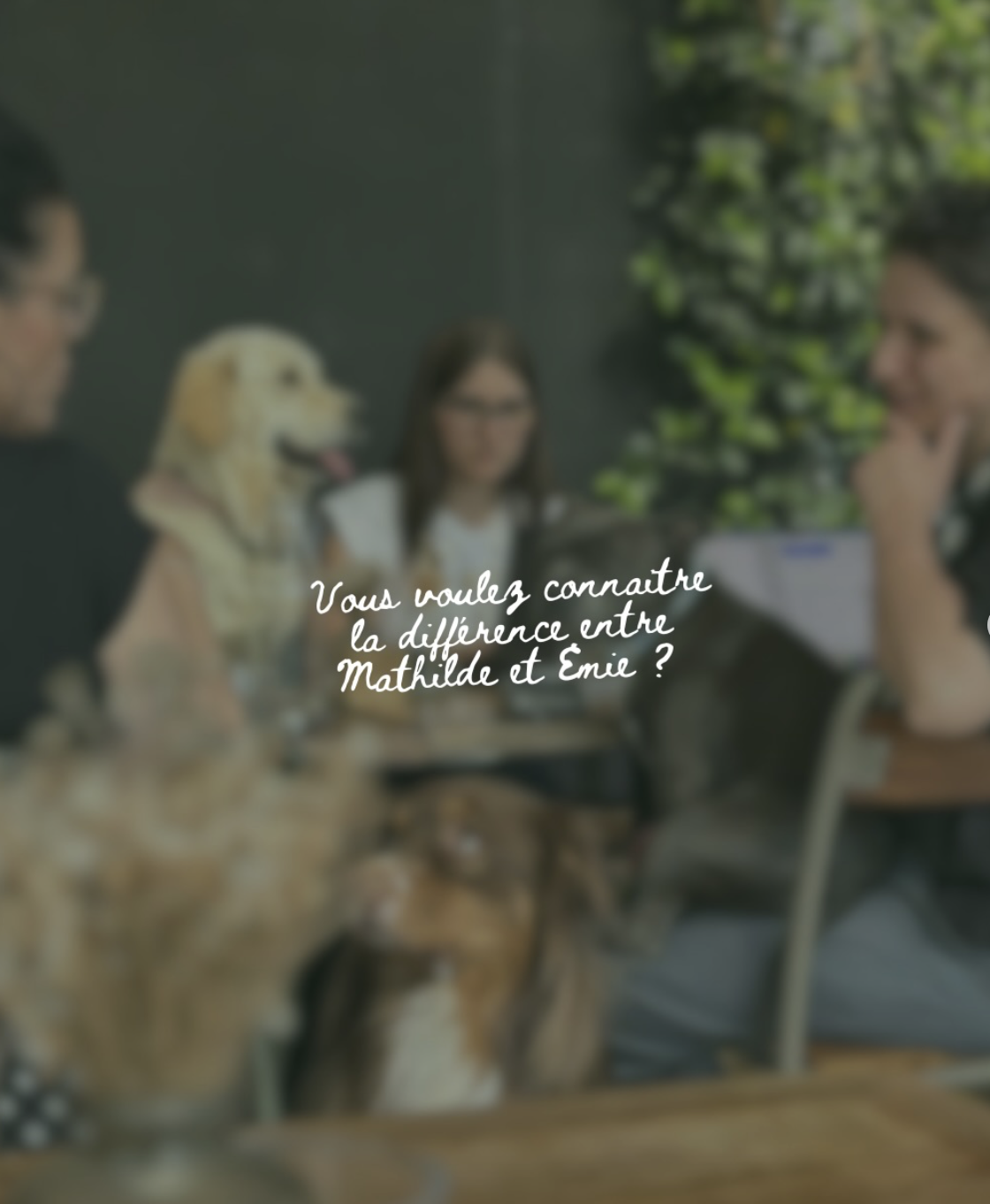 Groupe de personnes en réunion avec un chien. La légende dit : «Vous voulez connaître la différence entre Mathilde et Émie ?»