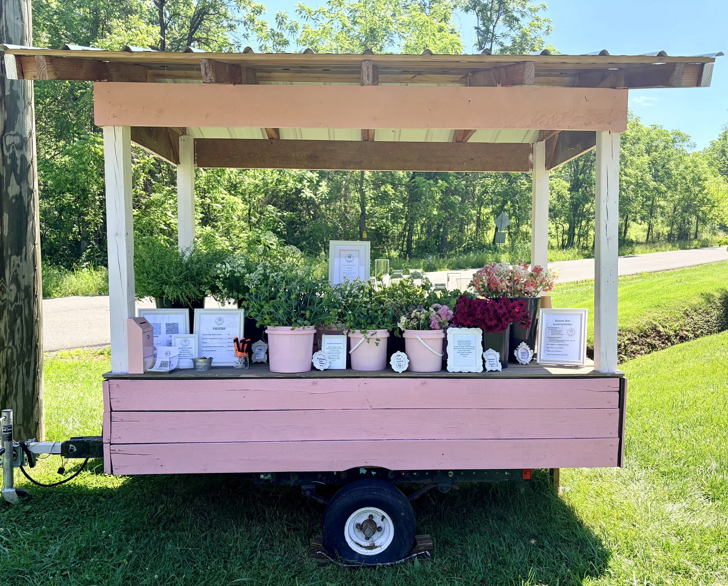 Farmstand Bouquets & Flowers