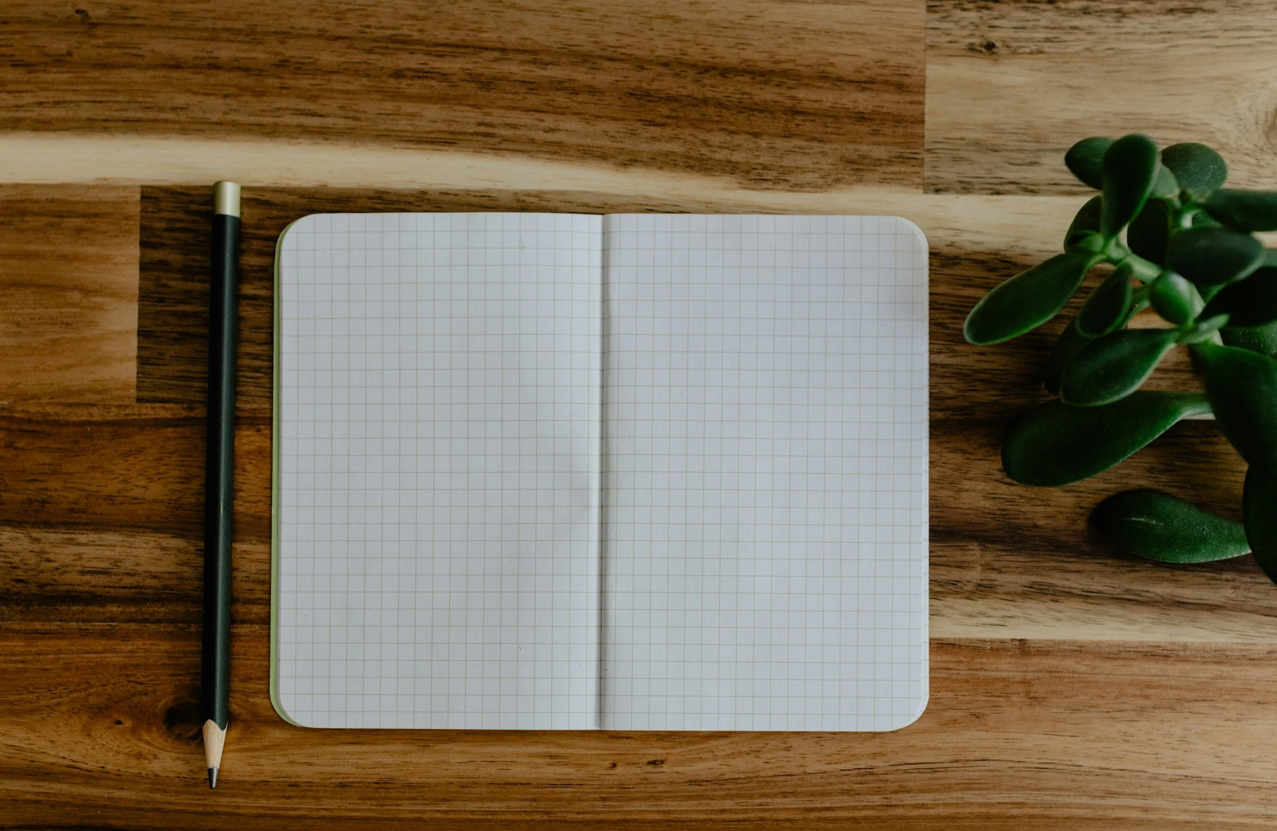 Open grid notebook, black pencil with gold tip beside it, and green succulent plant on wooden surface.