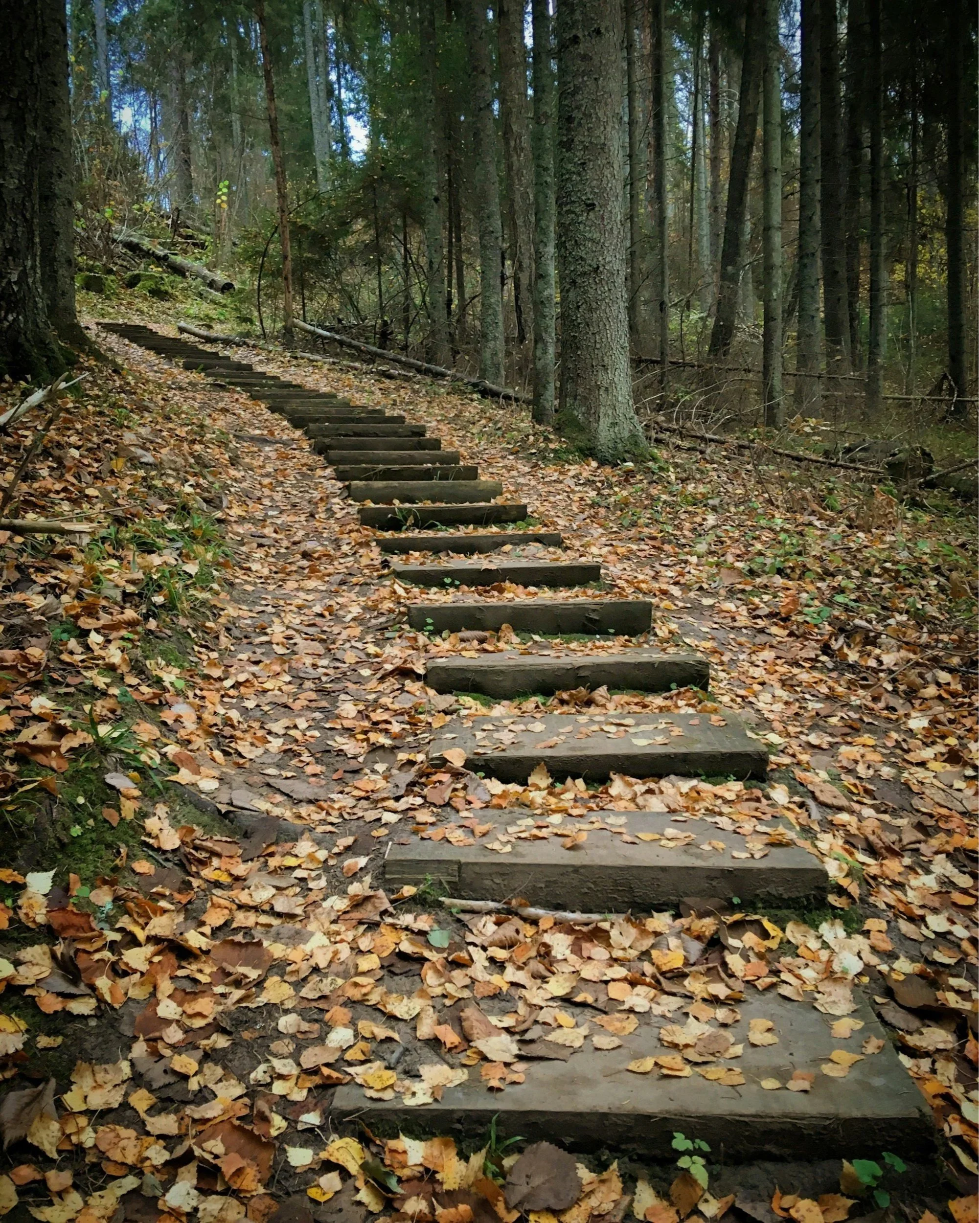 Small Steps Create Big Shifts