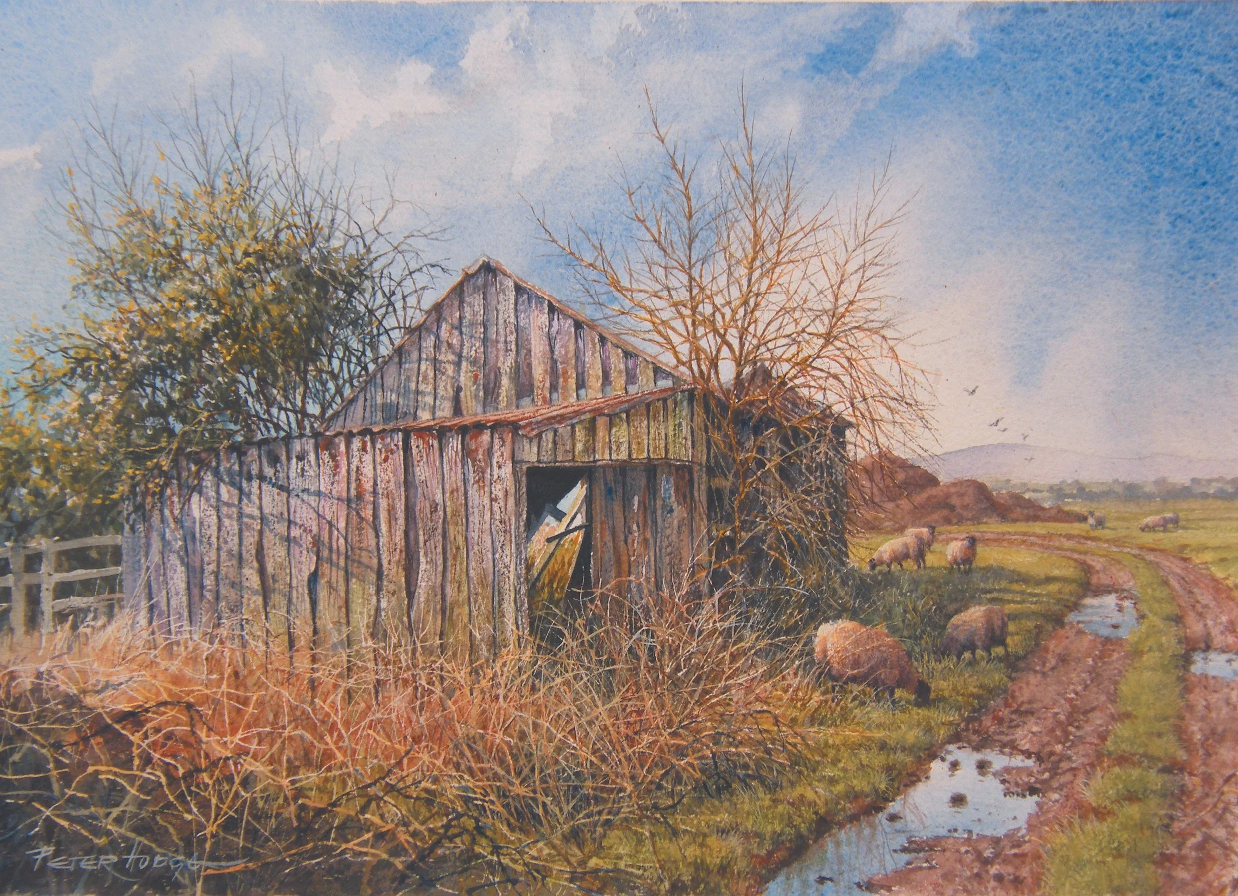 Hodge Powick Old shed 027.jpg