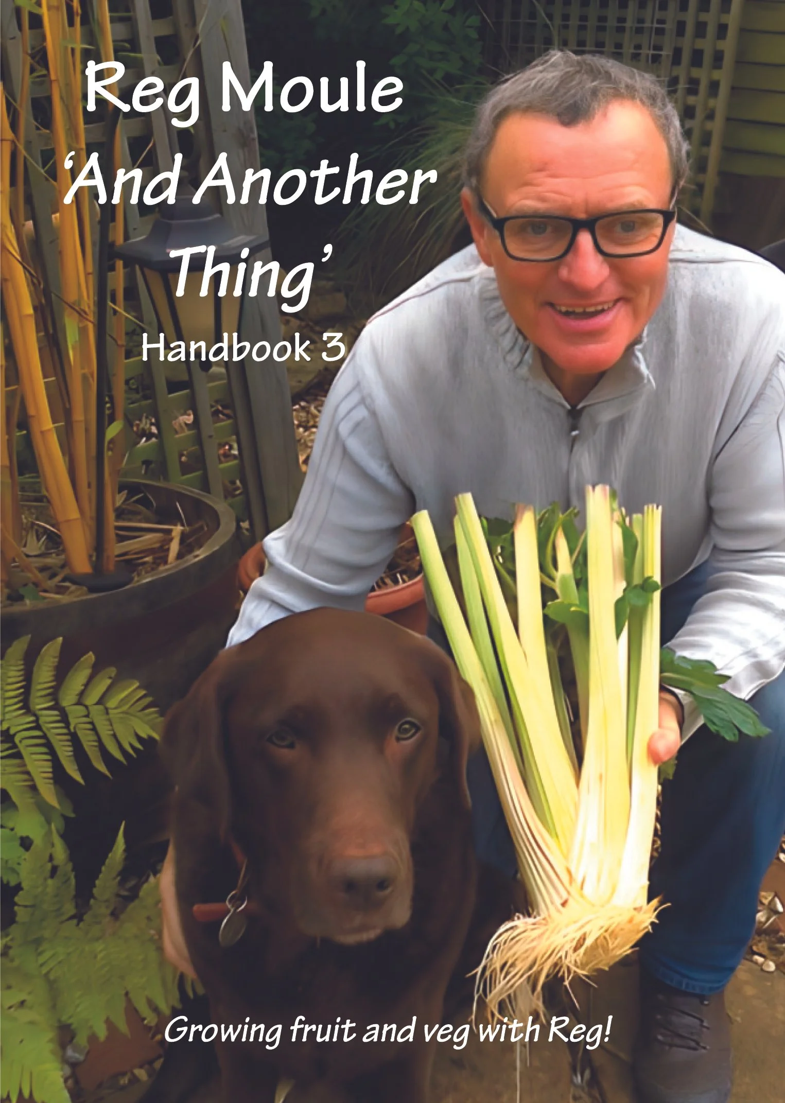 Cover volume 3_Layout 1 1.jpg