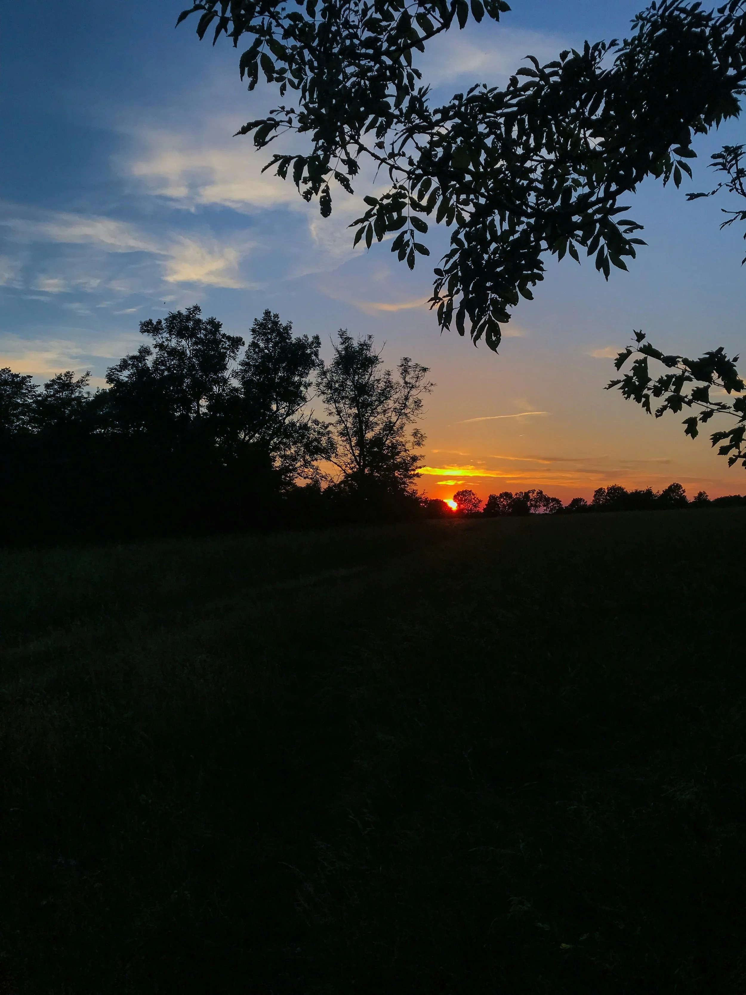 Off The Grid, Into Life