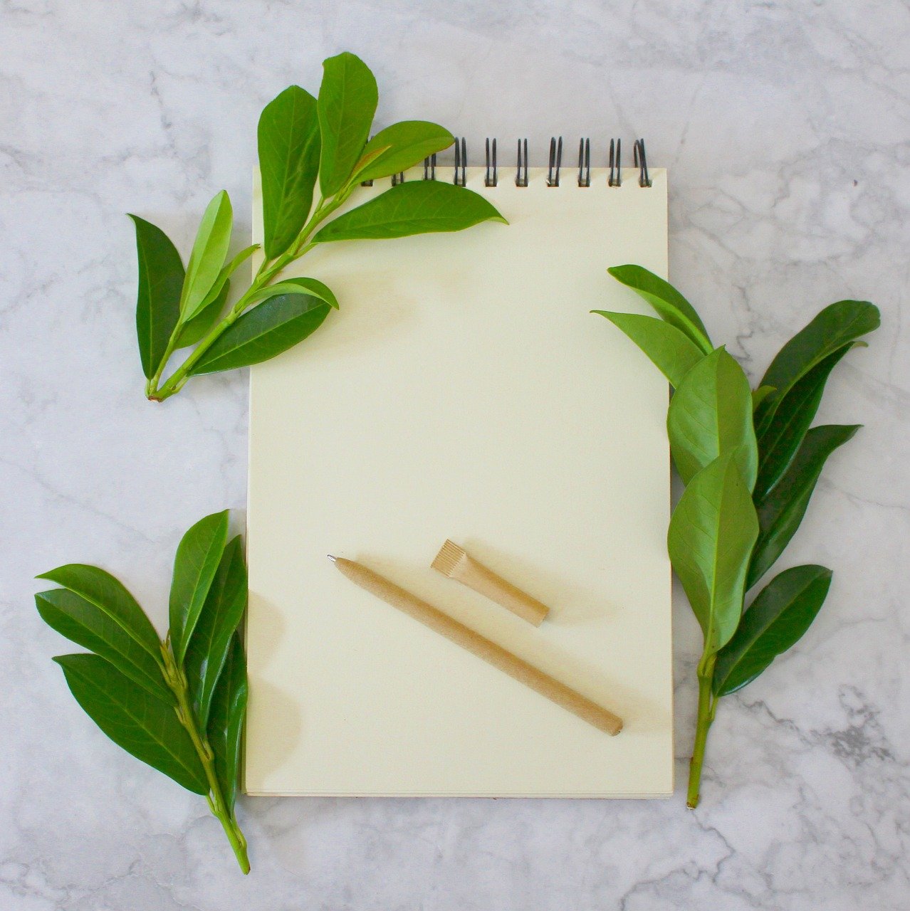 Bloc‑notes symbolisant le sérieux de la formation de Nadège Keuer, naturopathe formée à ISUPNAT, école agréée par la fédération, garantissant une approche professionnelle, rigoureuse et éthique.
