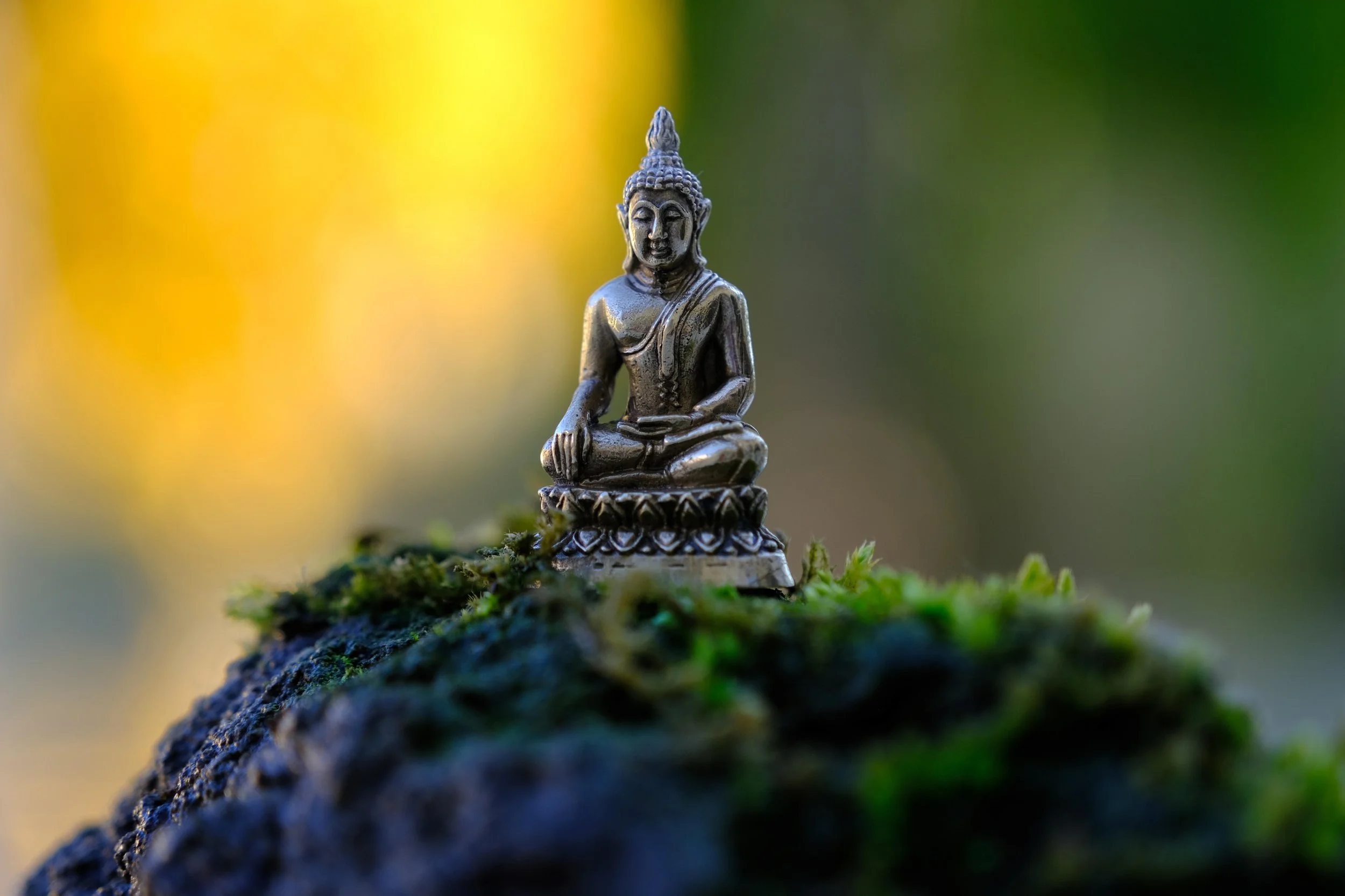 Statue de Bouddha symbolisant la sérénité et l’harmonie intérieure, illustrant la citation “prends soin de ton corps pour que ton âme ait envie d’y rester” et l’approche naturopathique centrée sur l’équilibre global.