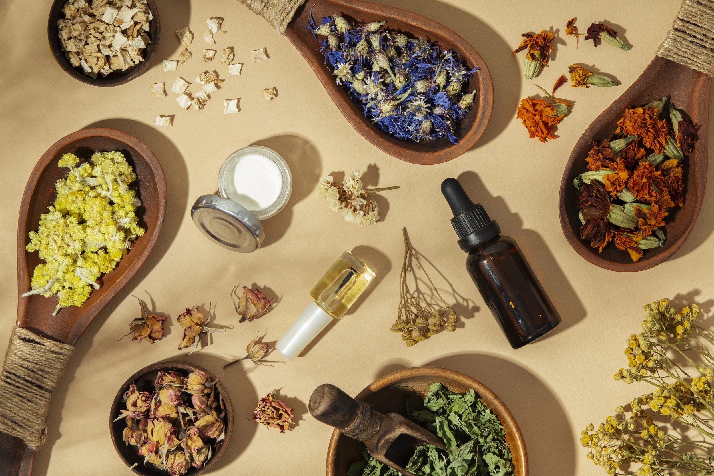 Plantes médicinales et aromatiques illustrant la phytothérapie et l’aromathérapie en naturopathie : soutien naturel du terrain, équilibre hormonal, digestion, stress et vitalité.