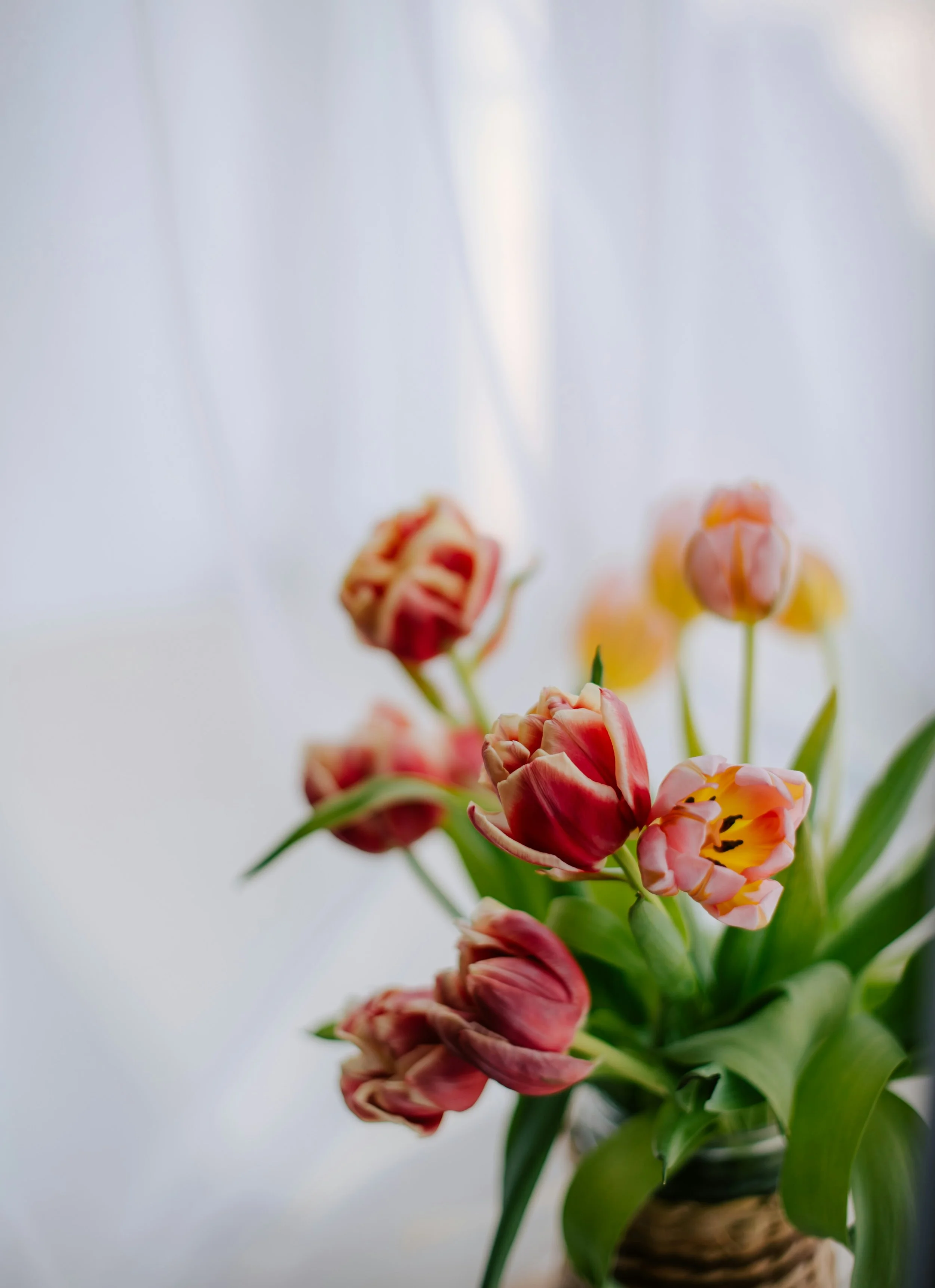 Linz Urfahr Freistadt Mühlviertel Psychologe