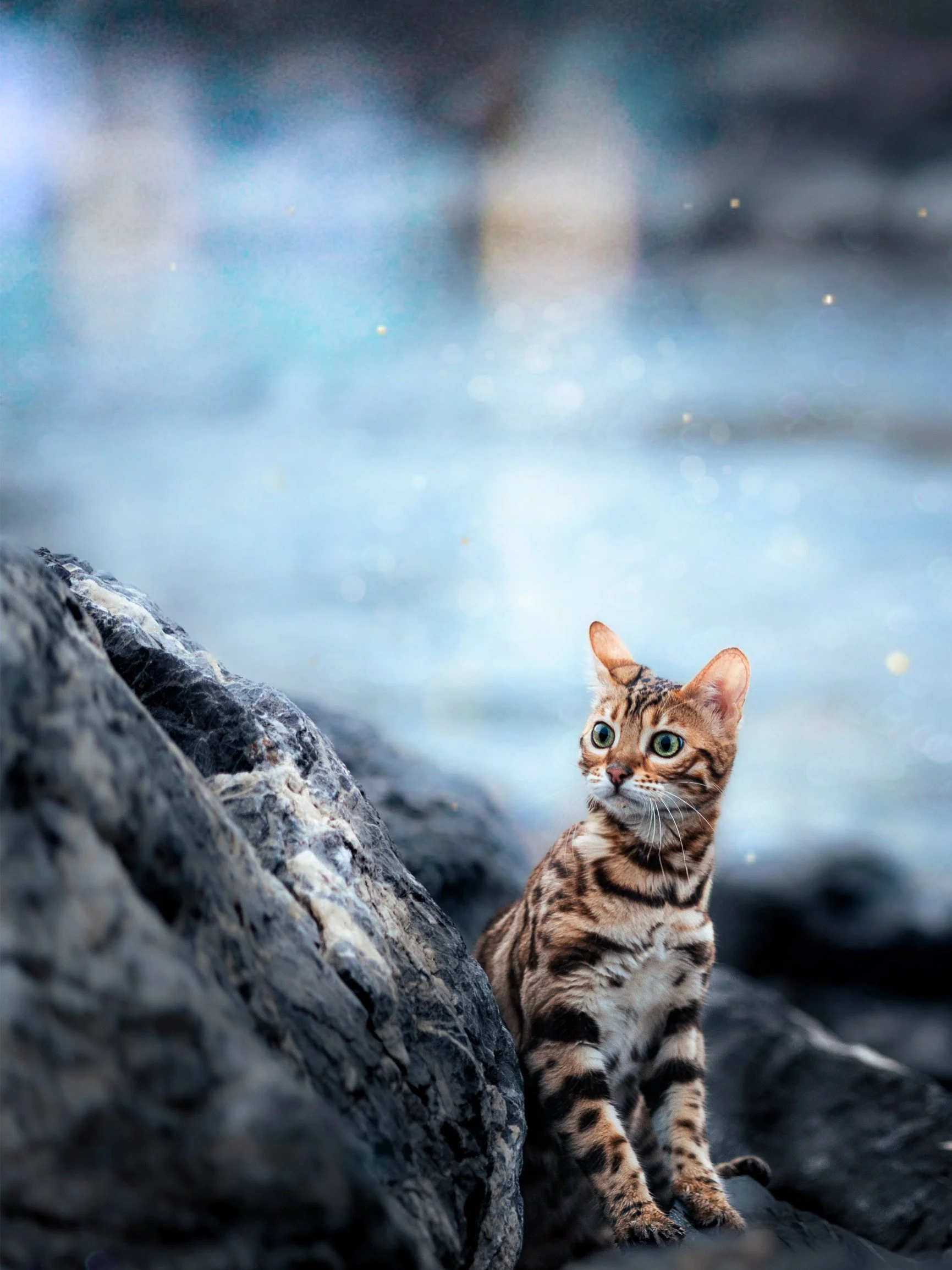 32C67E09-79B0-4308-A747-589F8CAD6691.jpeg