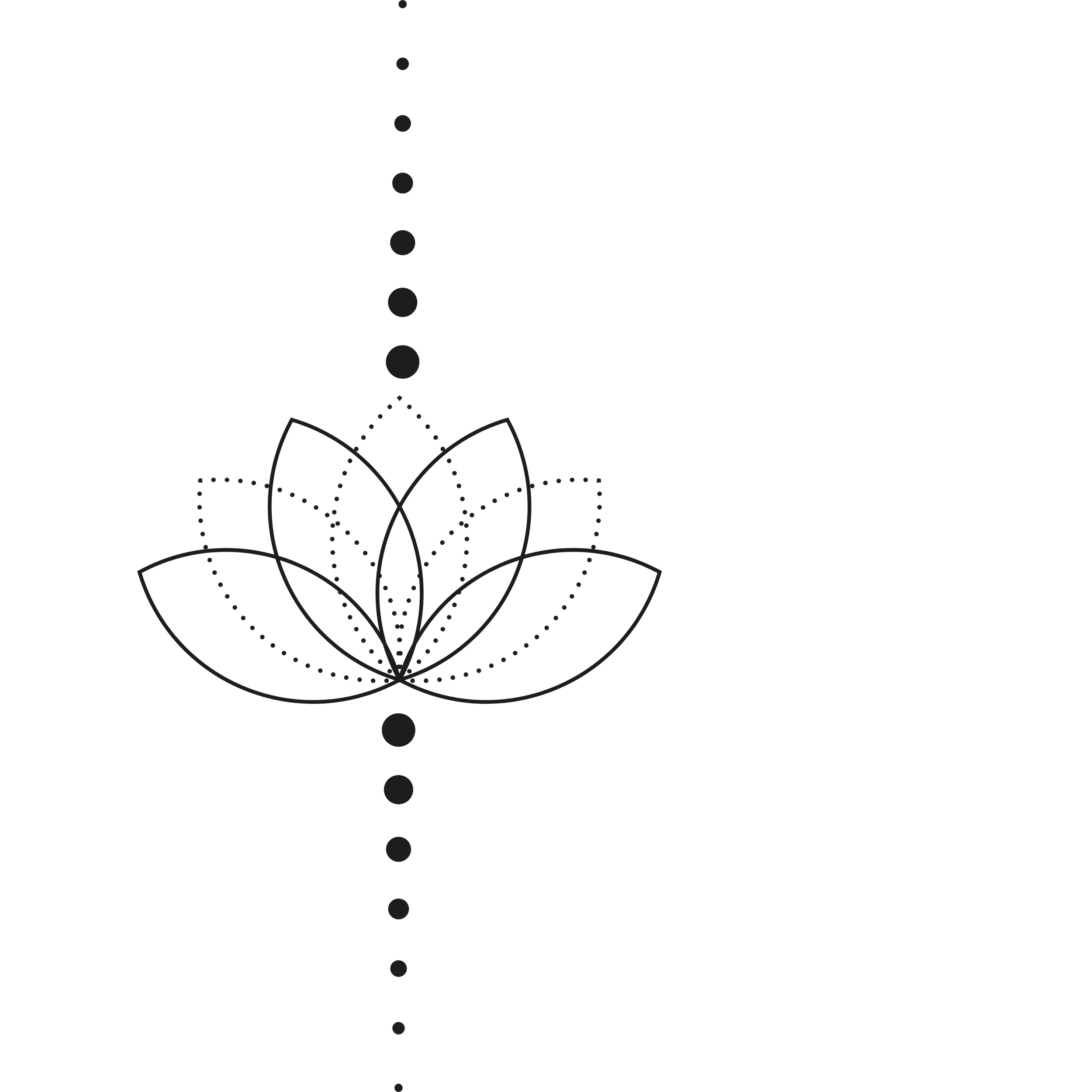 Ein geometrisches Mandala-Design mit Blüten und Linien auf schwarzem Hintergrund