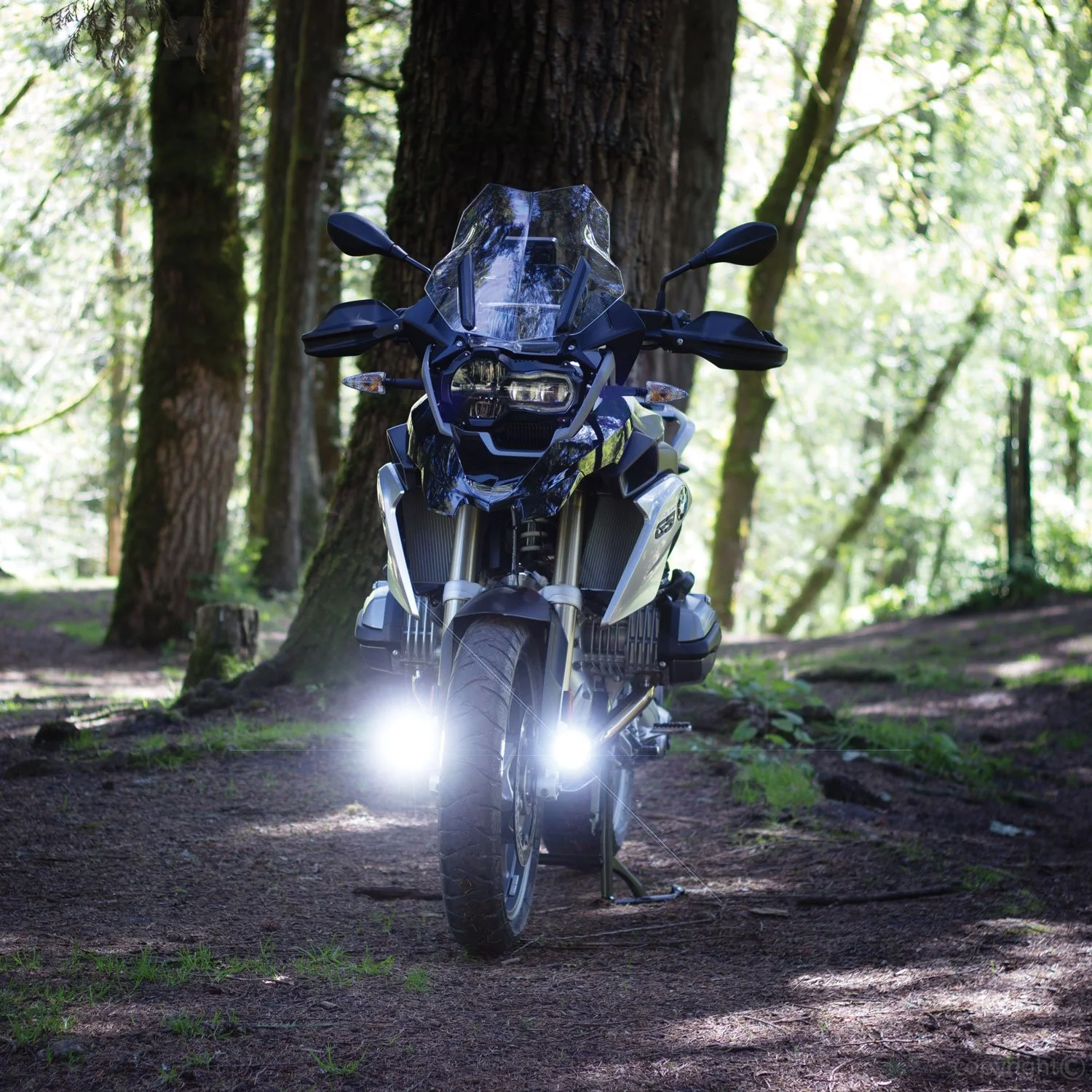 Electrical System Diagnostics & Service