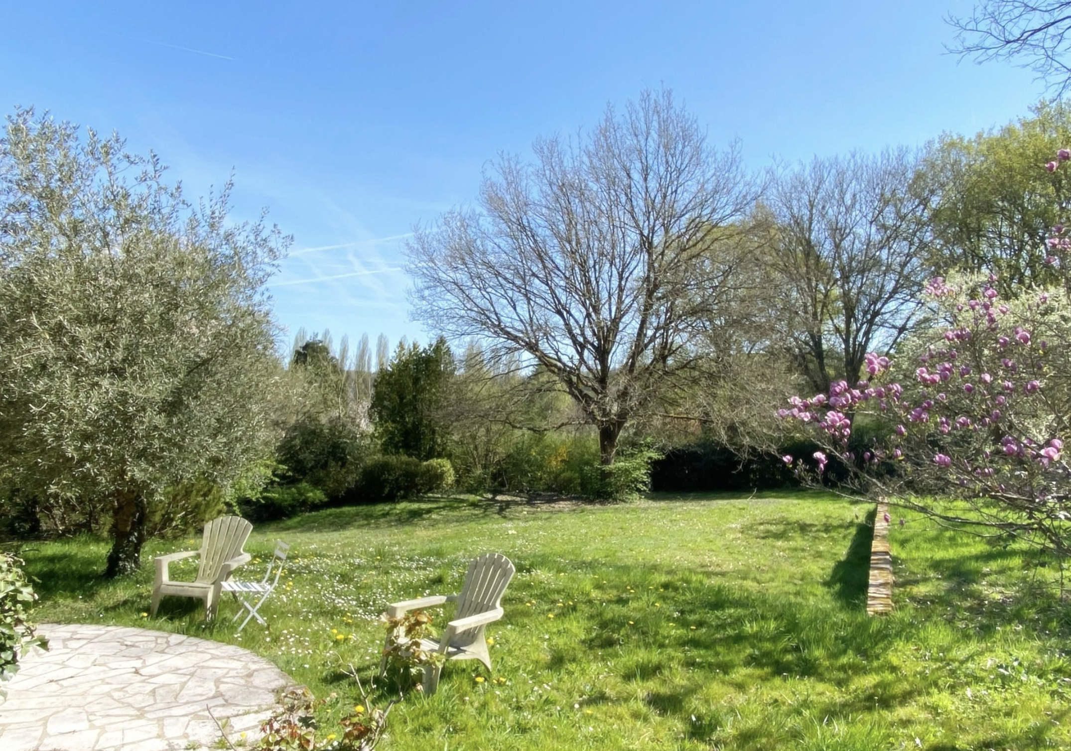Un jardin avec des arbres, des chaises en plastique blanches, et un ciel bleu clair.