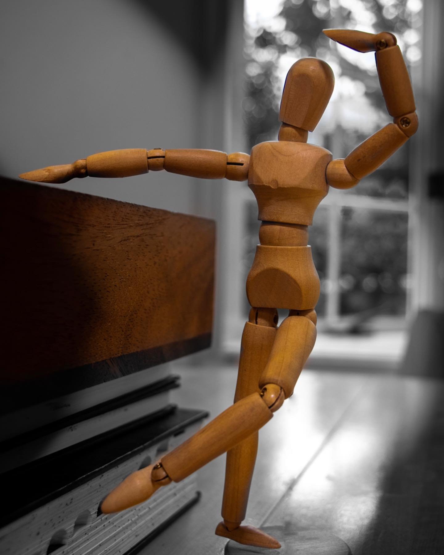 The mannequin series