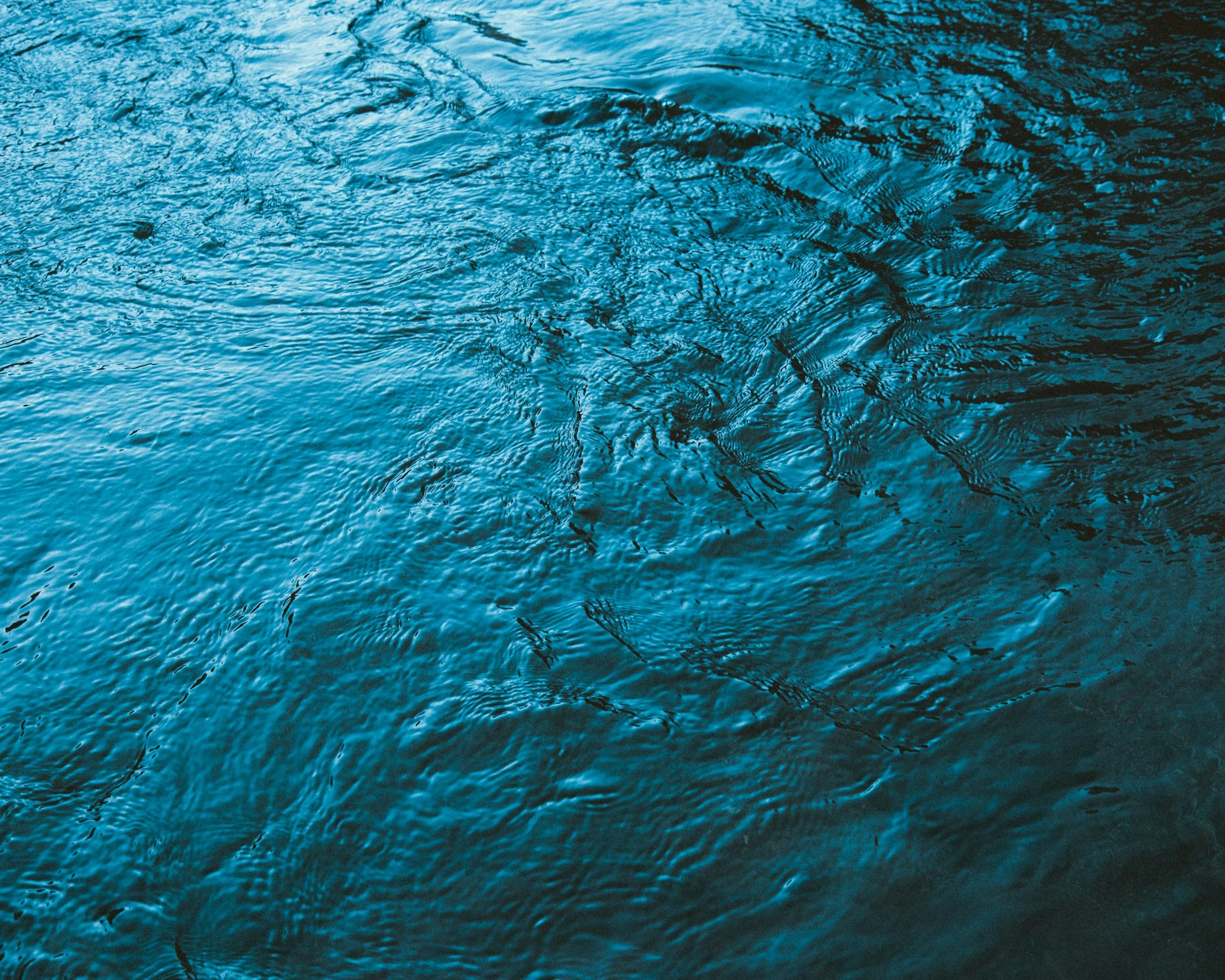 Silent Force Shaping Pastoral Search and Expectation