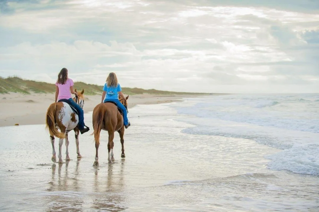 Last chance to save $25 per rider on your 2022 Horseback riding adventure on the beach!

https://conta.cc/3ABS6Ul