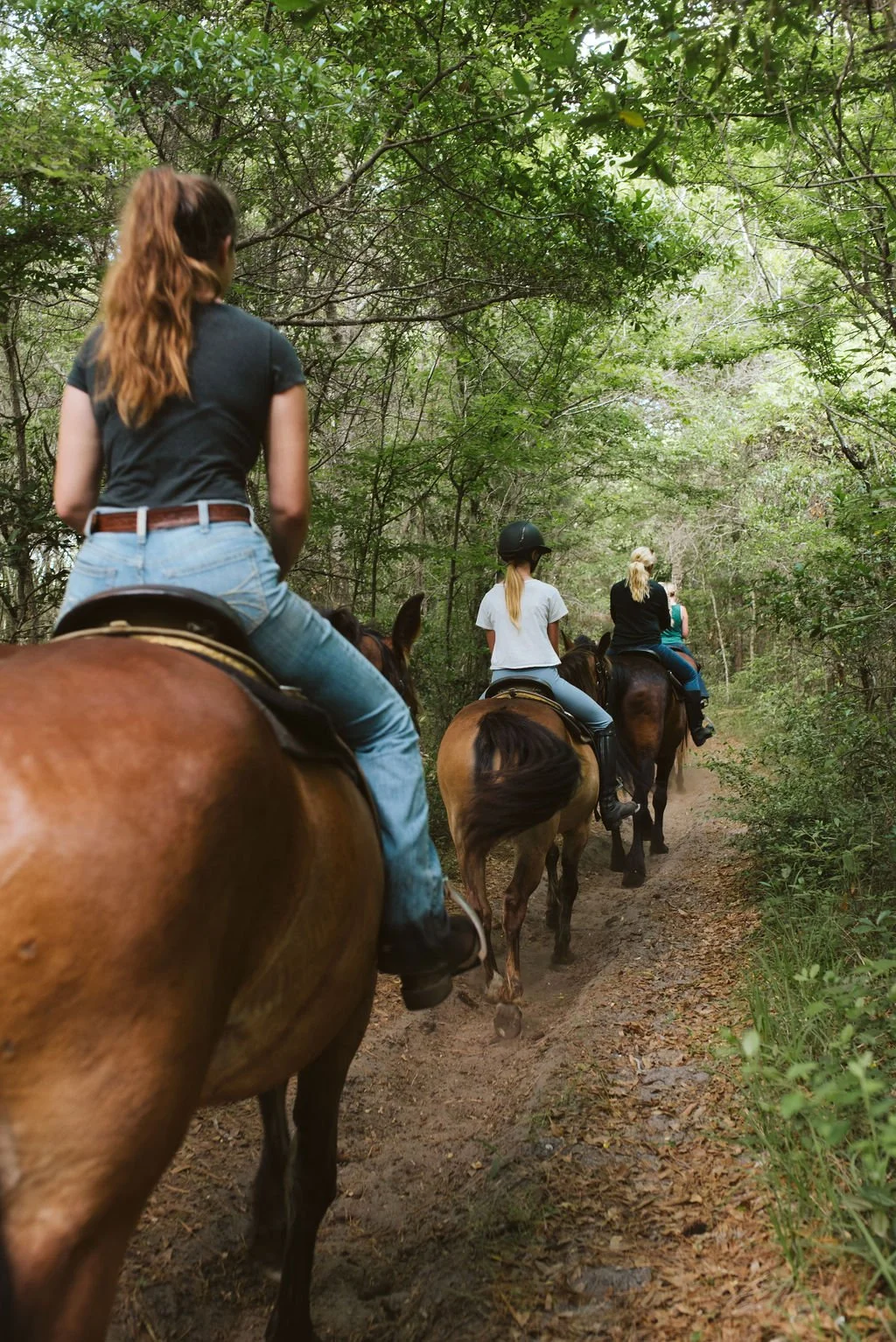 A group of four people riding horses on a narrow dirt trail through a lush green forest.
