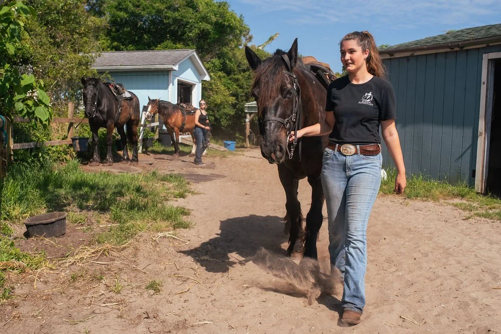 A young woman leading a black horse on a dirt path at a stable, with other horses and buildings in the background.