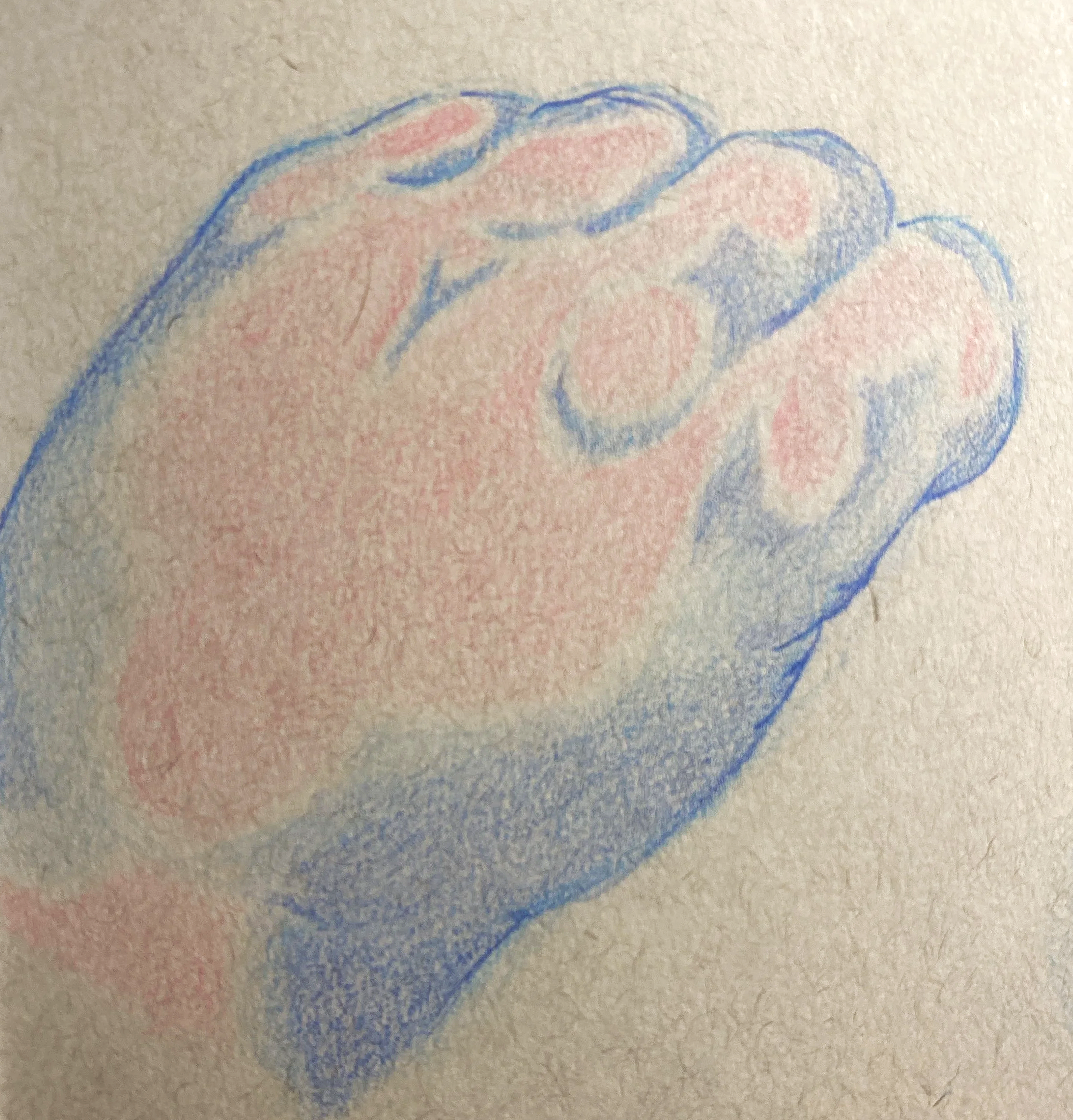 IMG_6229.png
