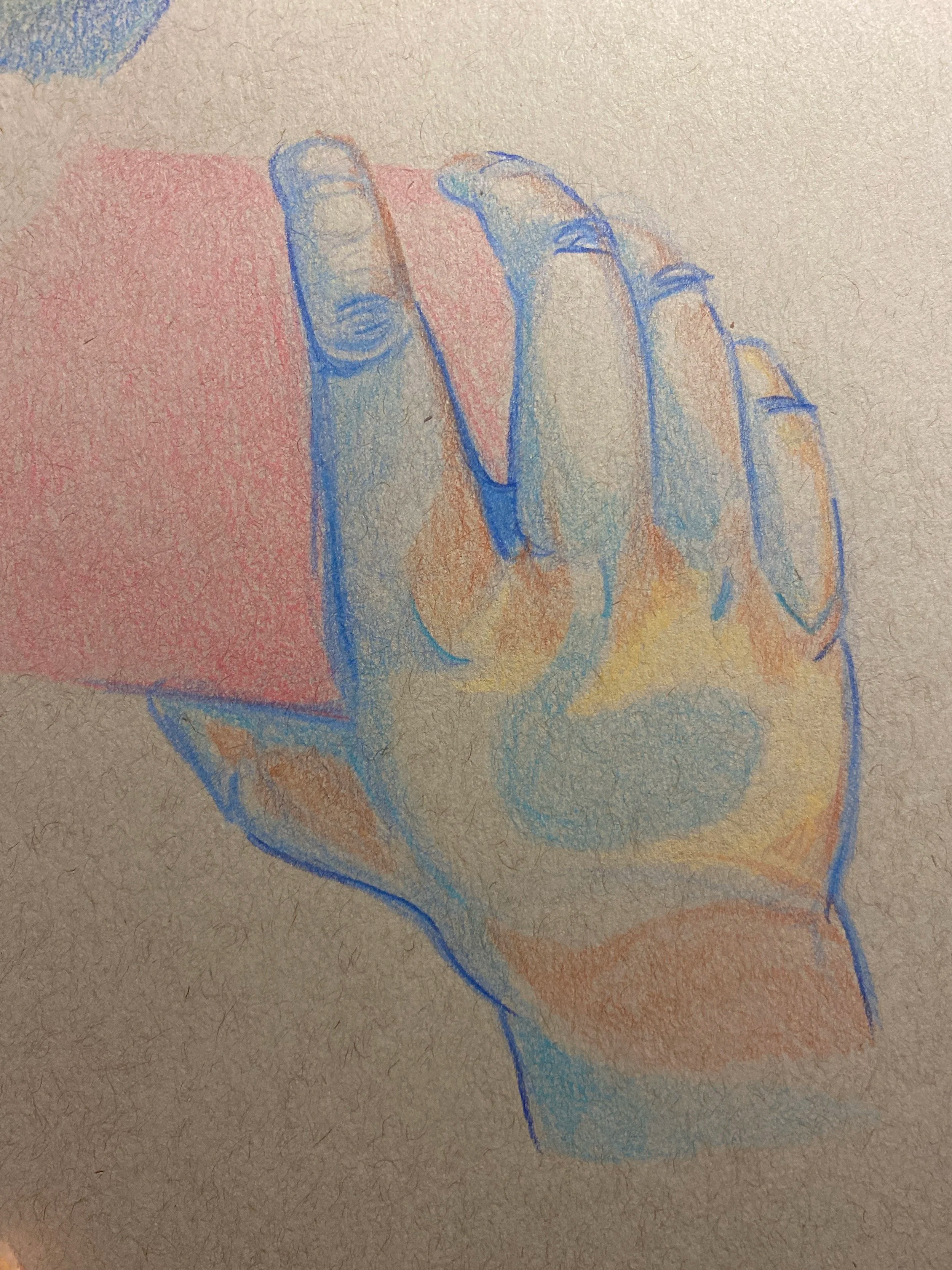 Anatomical Studies 