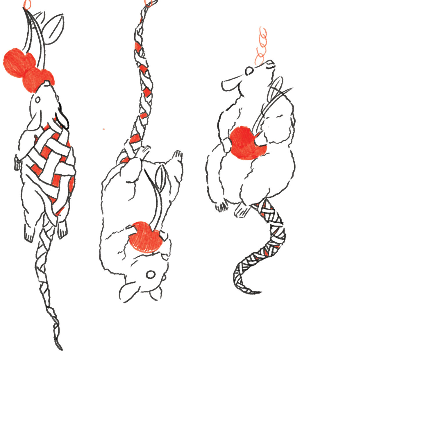 Cherry Pie-Rat Concepts