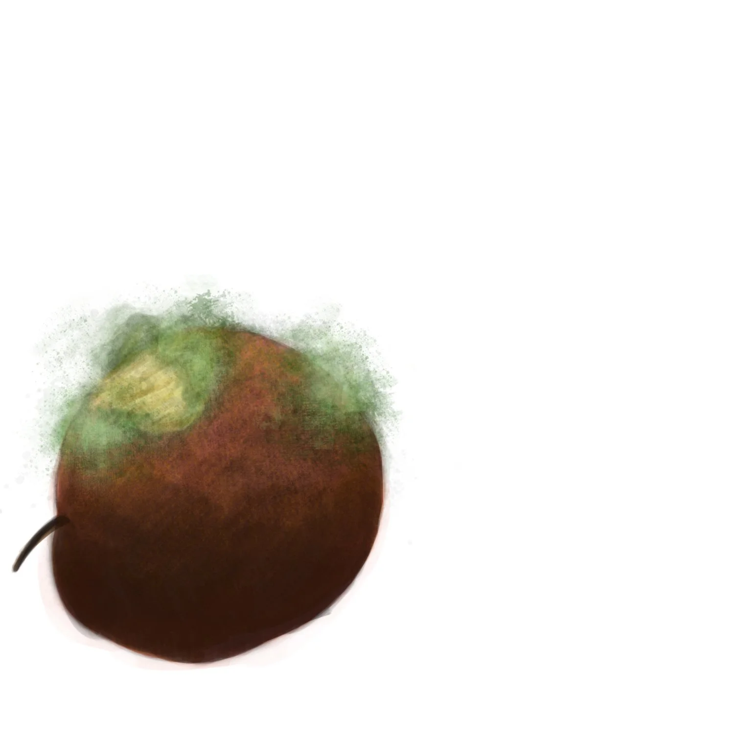 rotten study