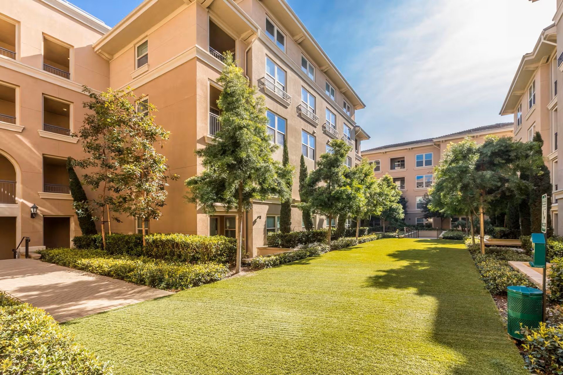 Mirada-Dog Area-CMF Photo-0275.jpeg