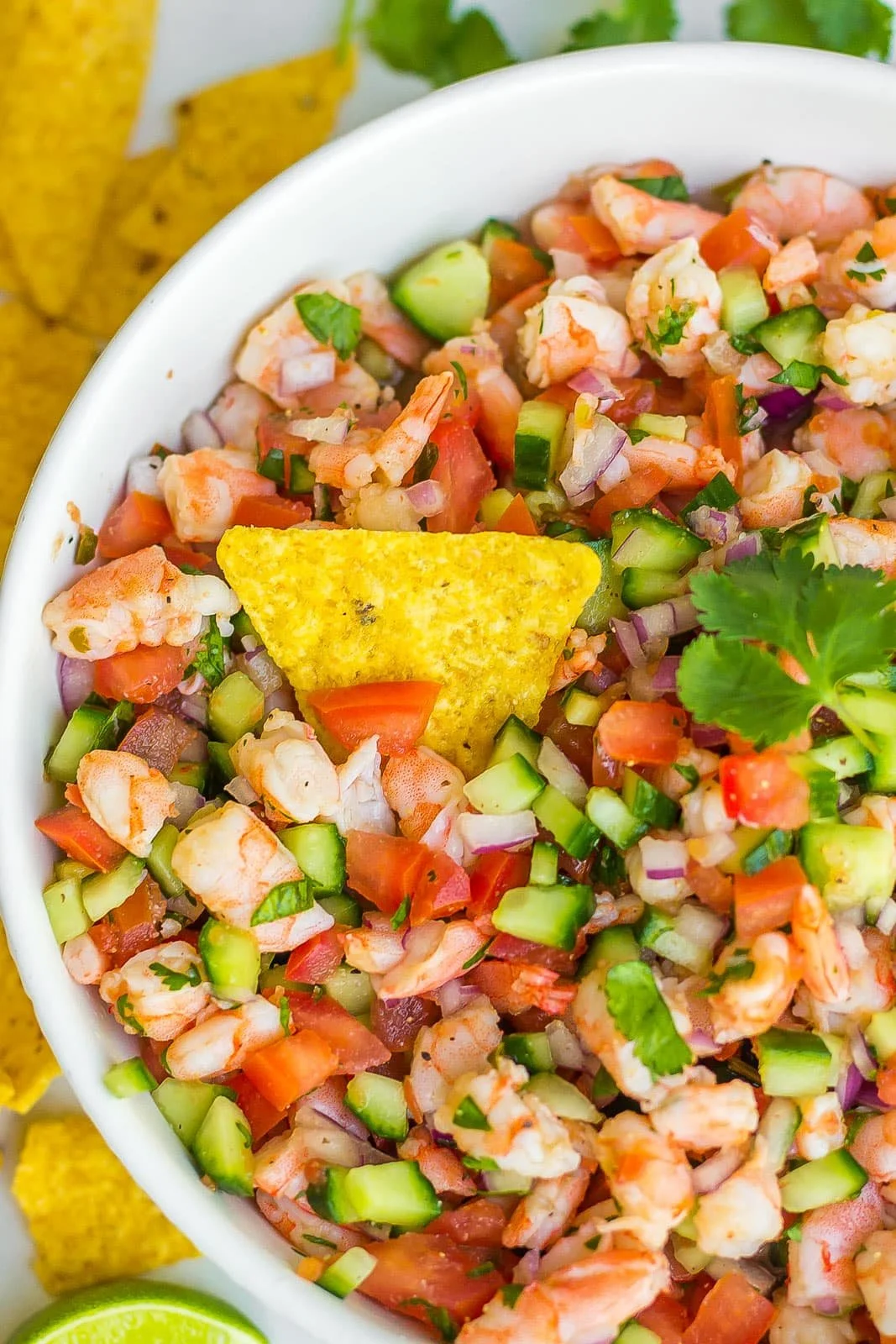 Ceviche de Camaron / Shrimp salad