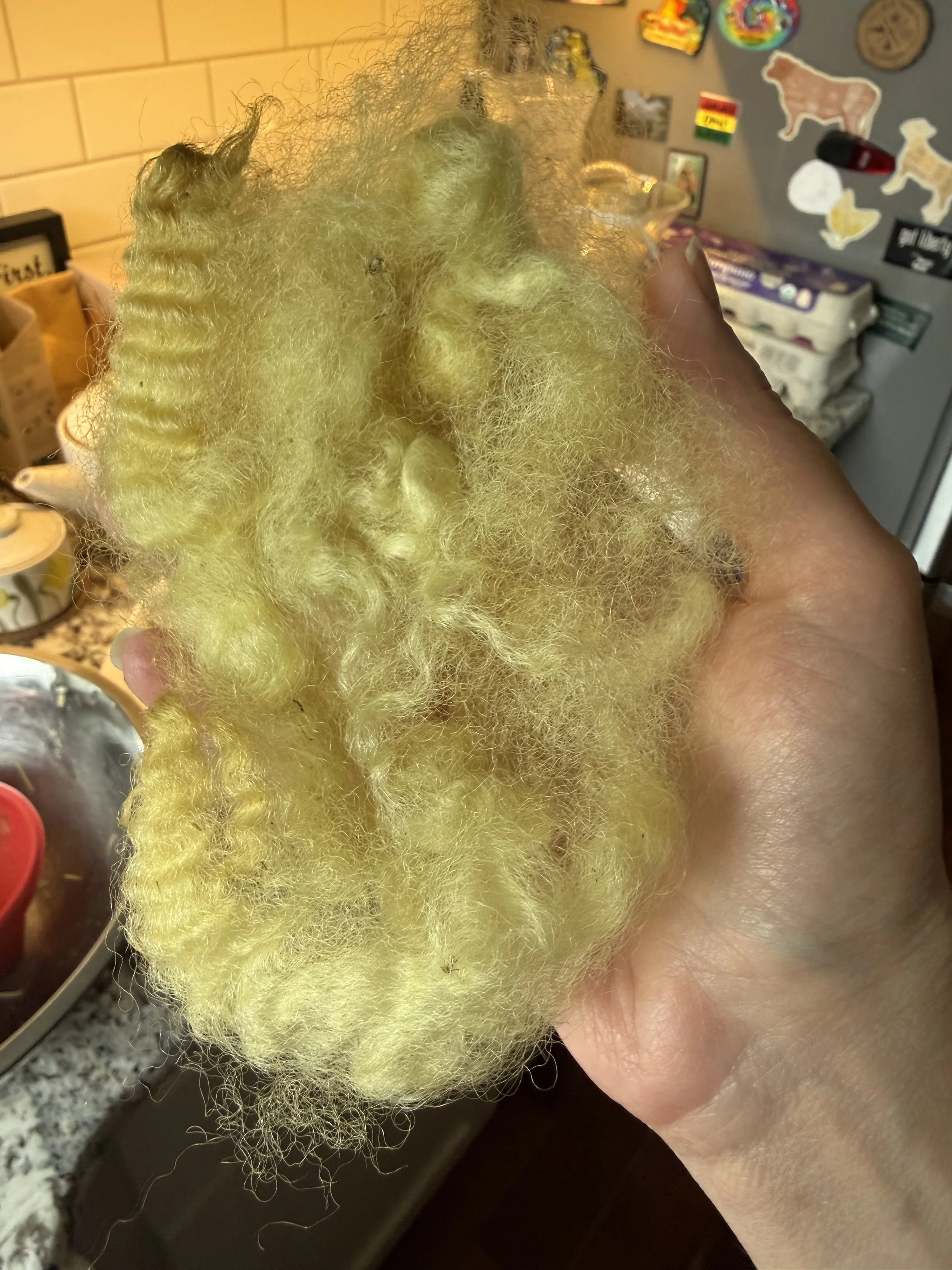 clump of yellow wool