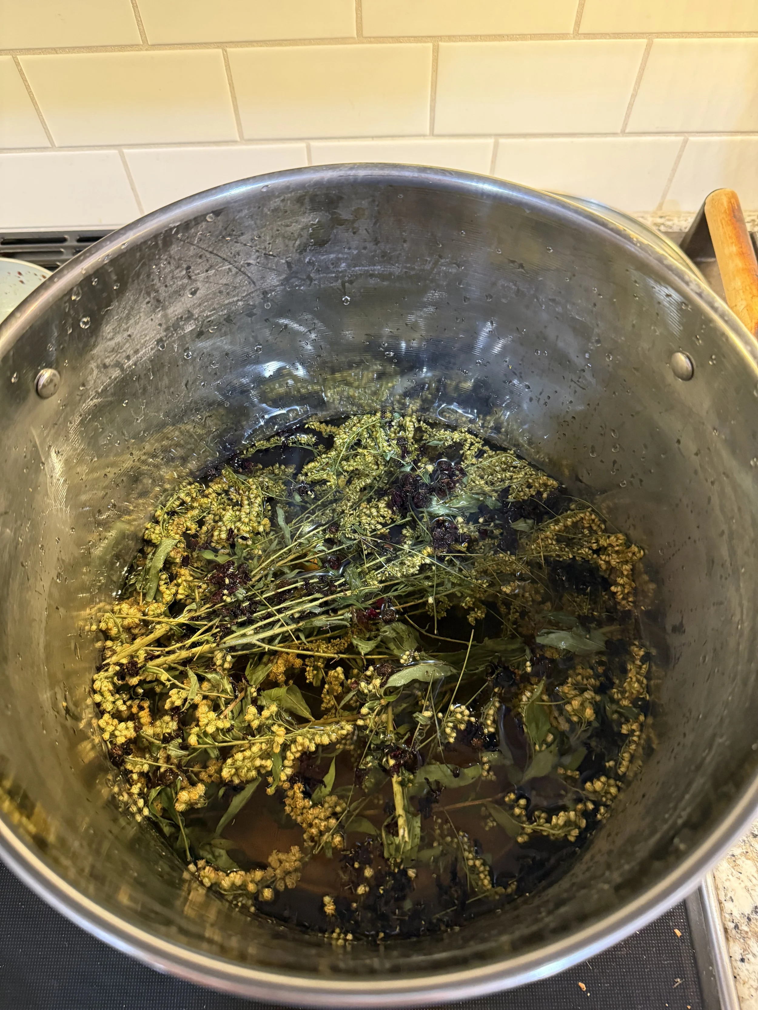 Goldenrod simmering in a pot of water on the stove