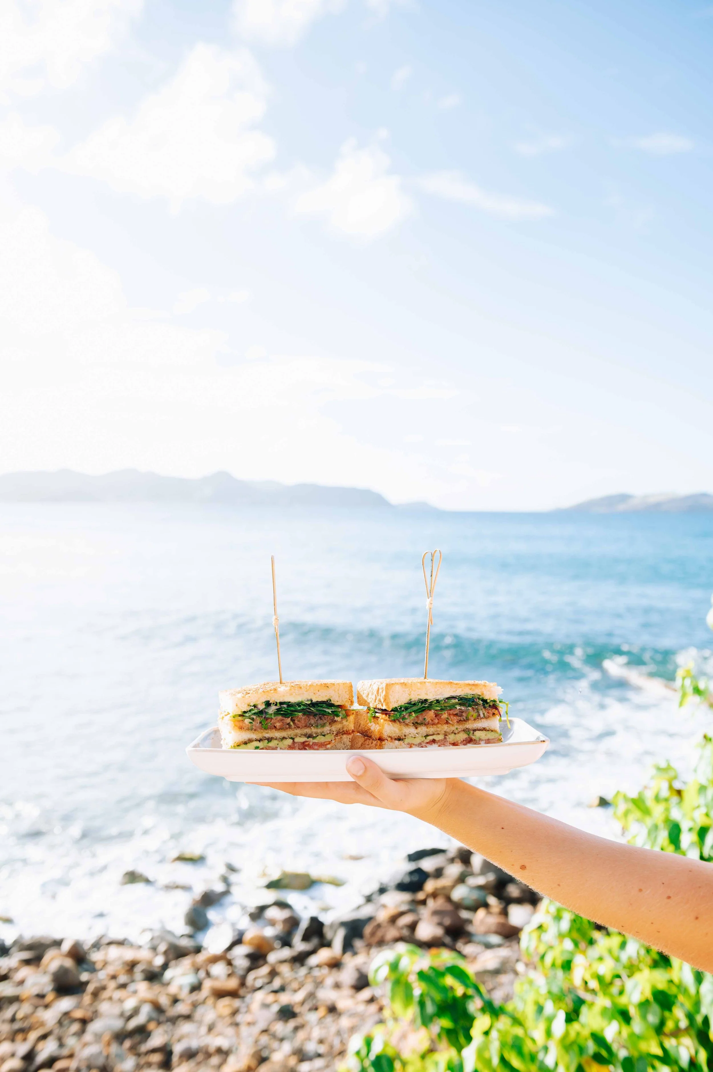 Une main tenant une assiette avec deux sandwichs au bord de la mer, avec vue sur la plage, l'eau et le ciel en arrière-plan.