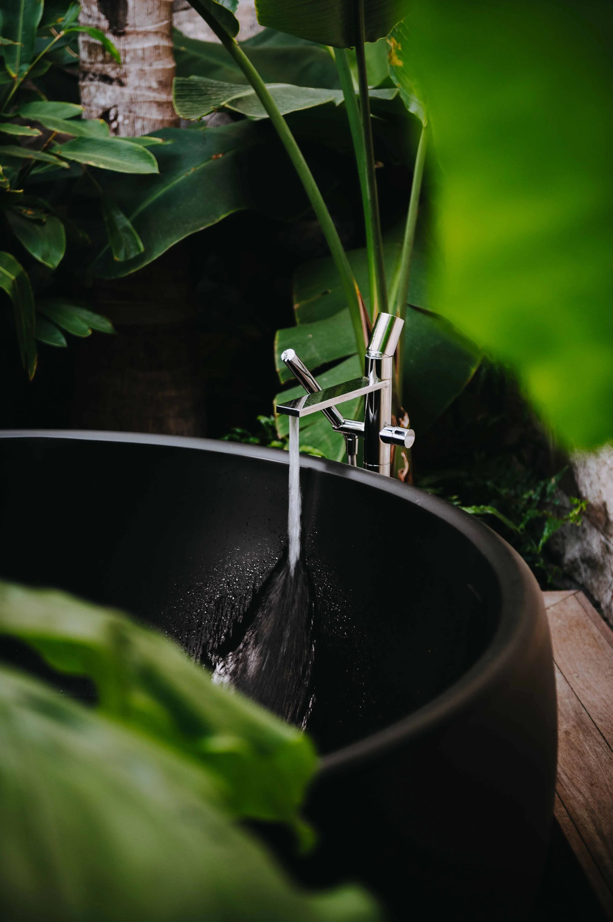 Un évier noir avec un robinet en métal chromé, l'eau coule dedans, entouré de plantes vertes luxuriantes.