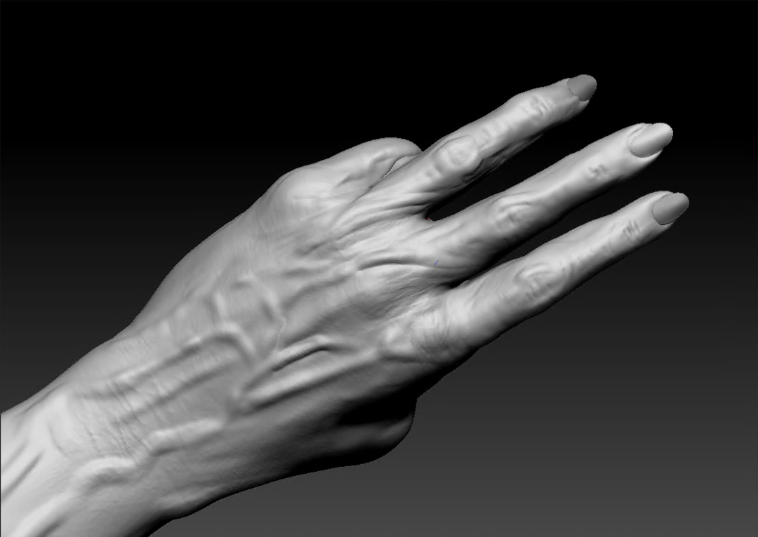 ThompsonM_ModelingIIIE1_Hand2.png
