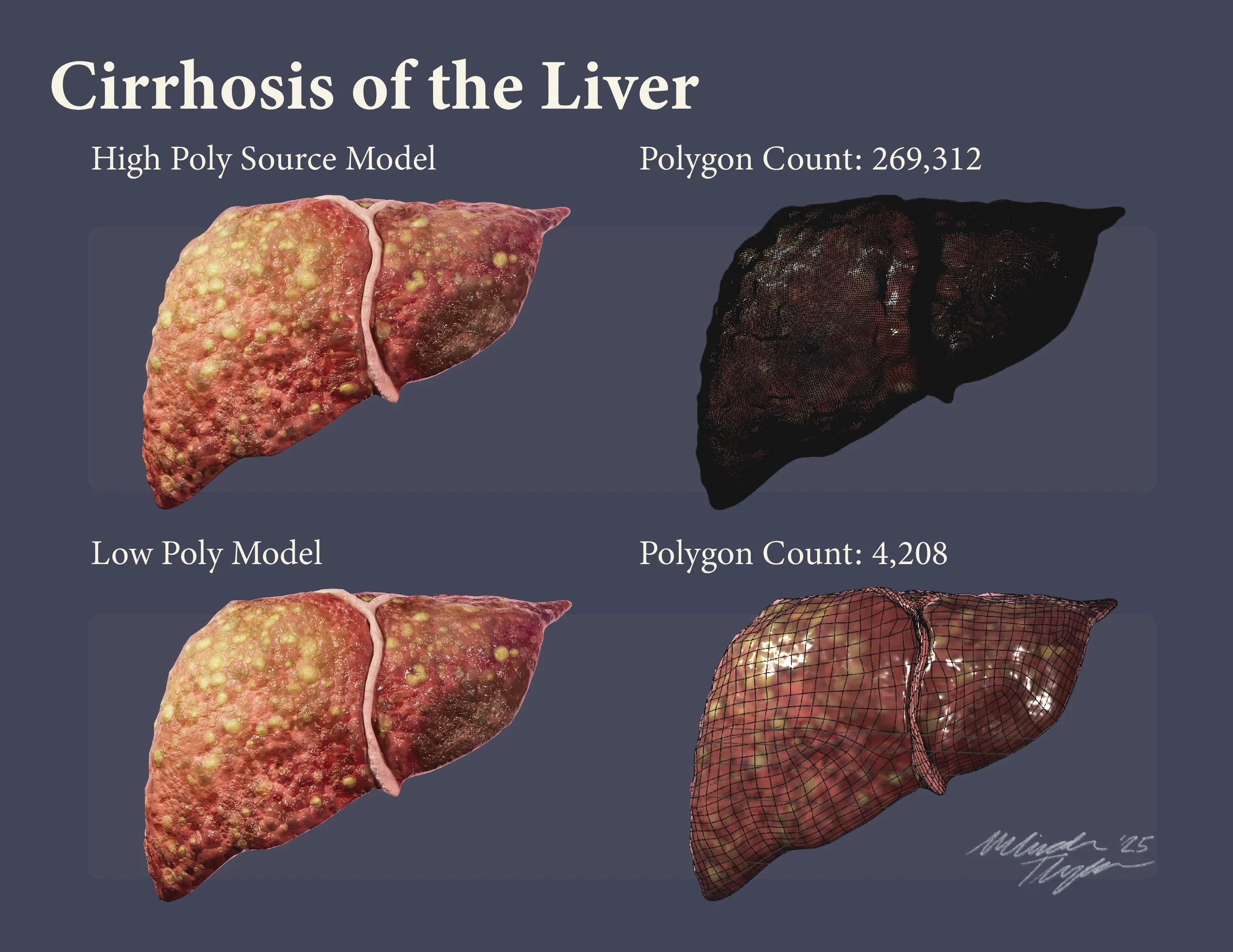 ThompsonM_E1_ModelingII_BVIS520_070725 copy.jpg