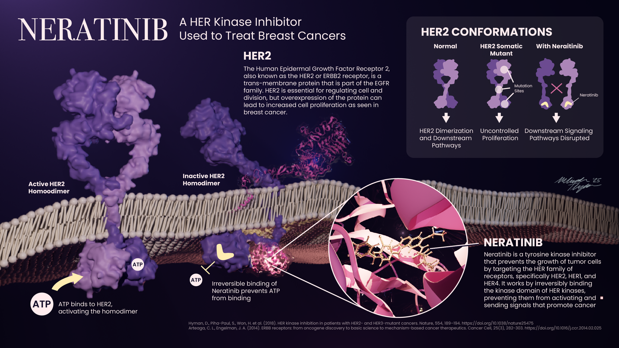 molepharm final assignment 3 for portfolio 4.29.25 copy.png