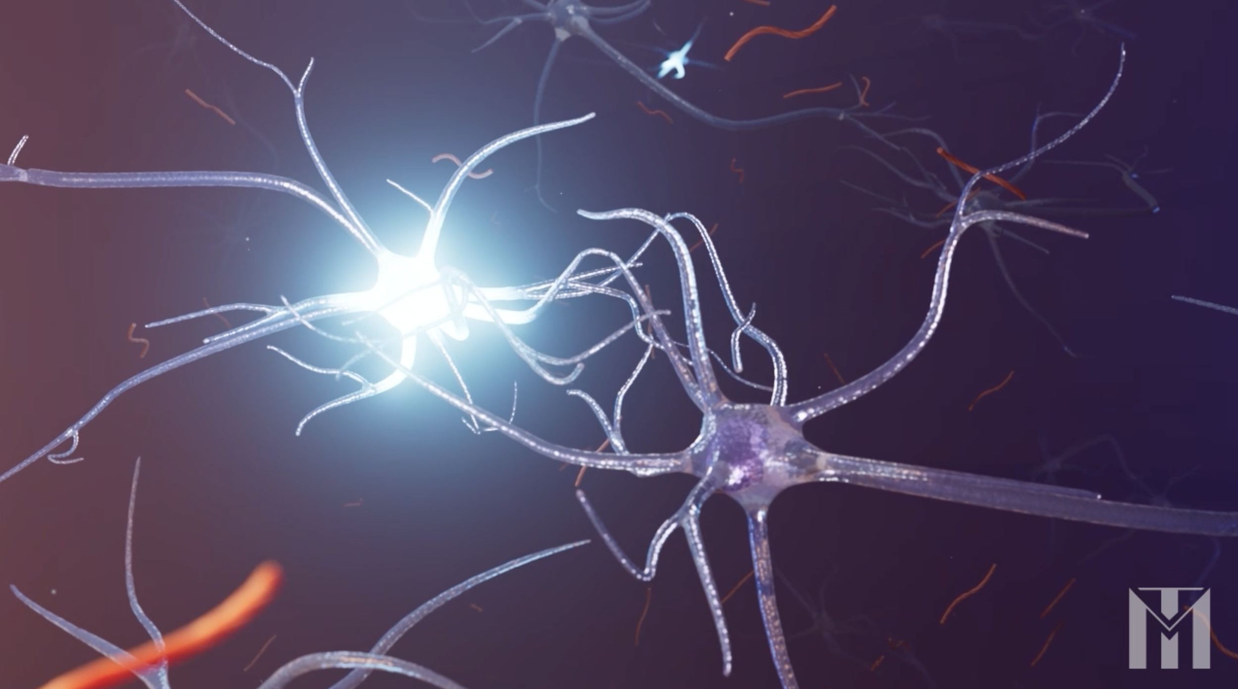 Screenshot 2026-04-14 at 1.25.52 PM.png