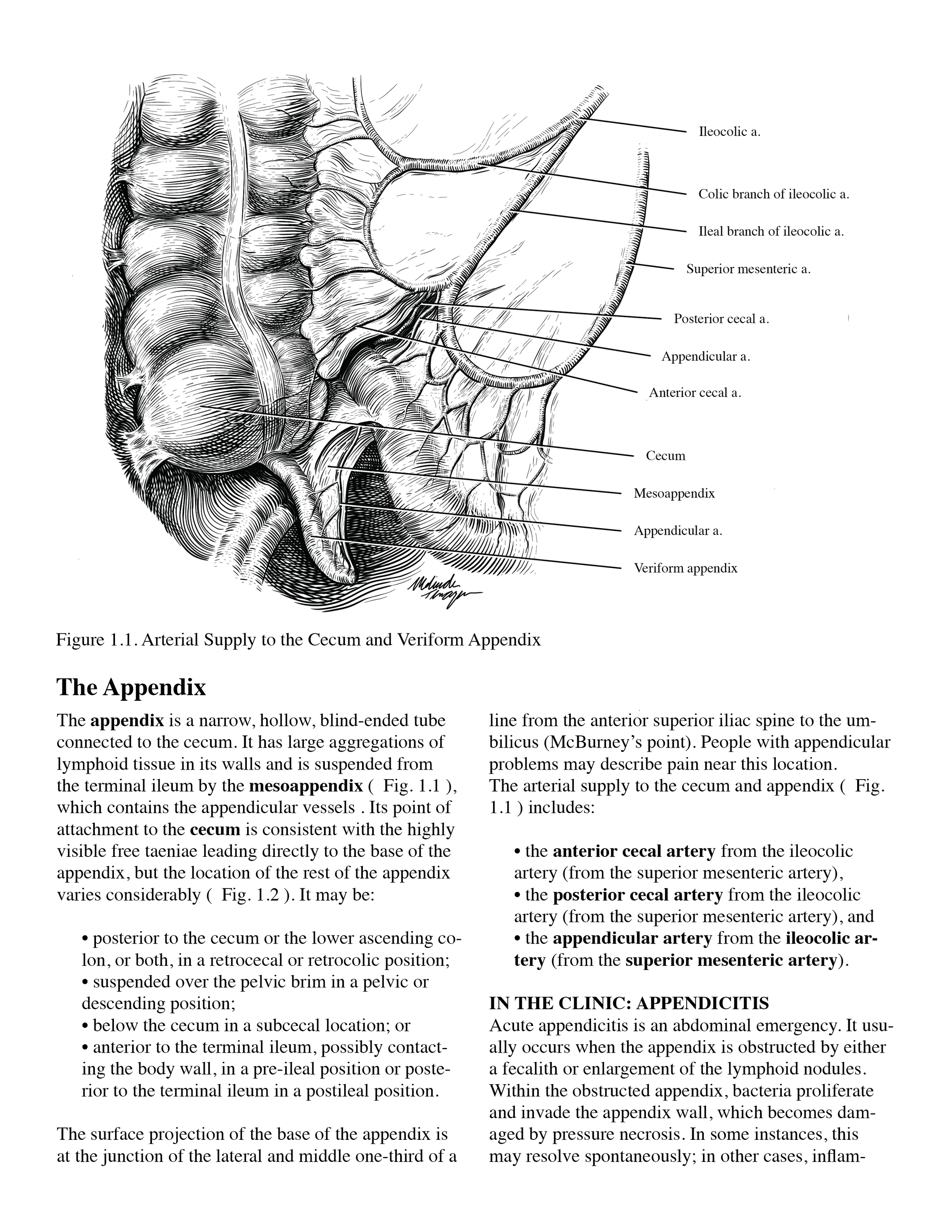 Textbook page: The Appendix