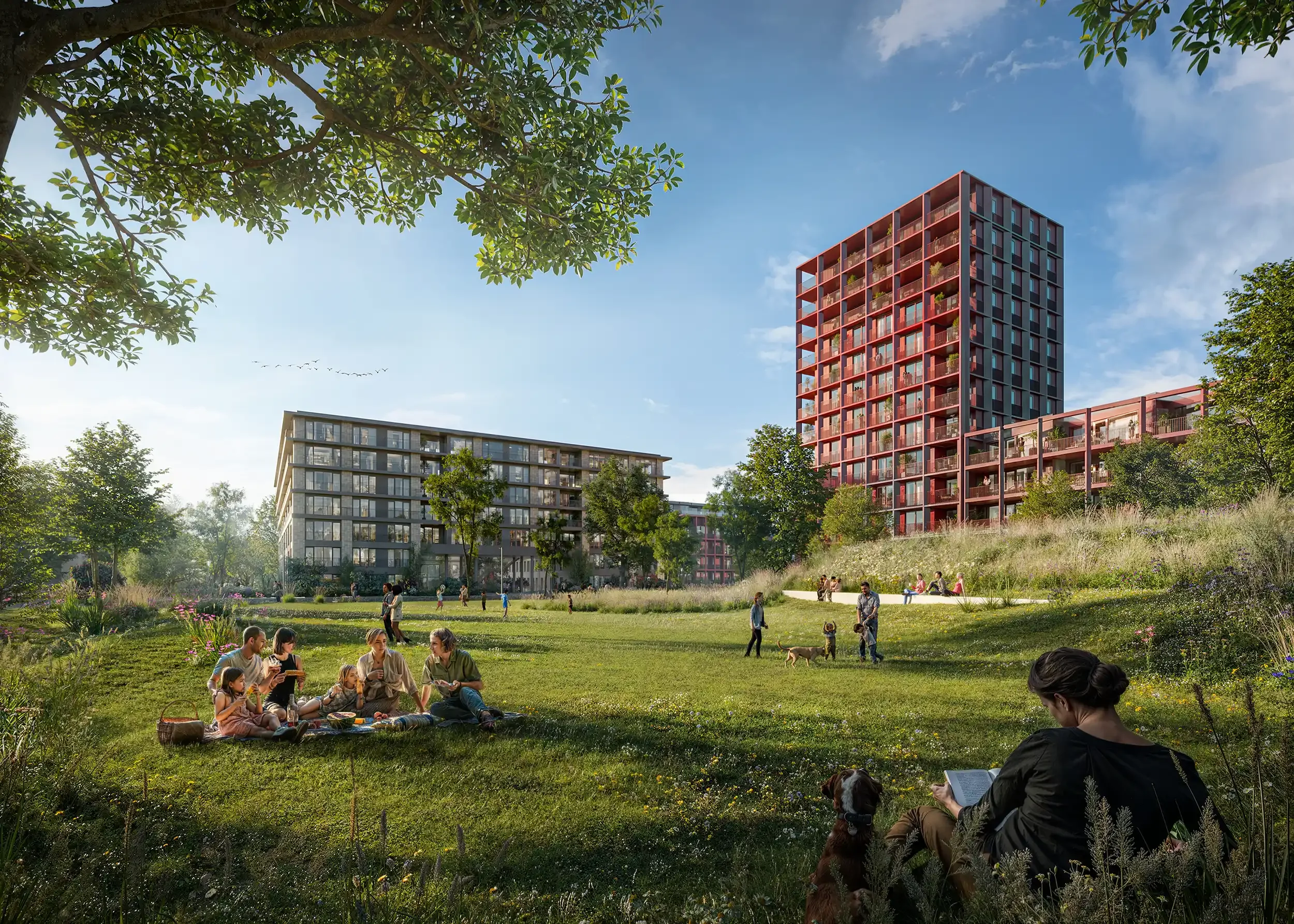 Ondersteuning bij directievoering en toezicht in breda.