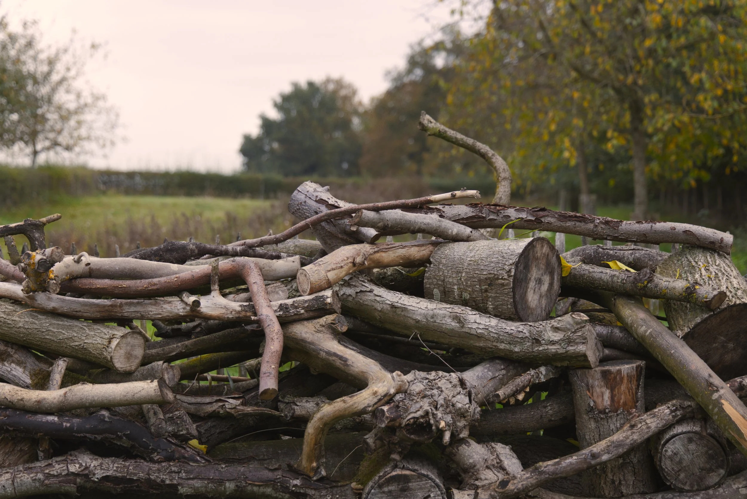 Een stapel houtblokken en takken op een open veld met bomen op de achtergrond.